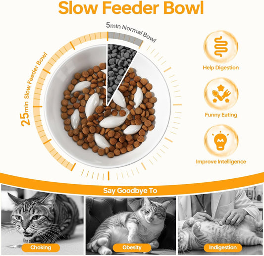 PETTOM Slow Feeder Cat Bowl, 2 Pack Ceramic Raised Tilted Cat Slow Feeder Bowl Elevated Puzzle Anti Vomiting for Dry and Wet Food Whisker Friendly for Kitty Puppy, White