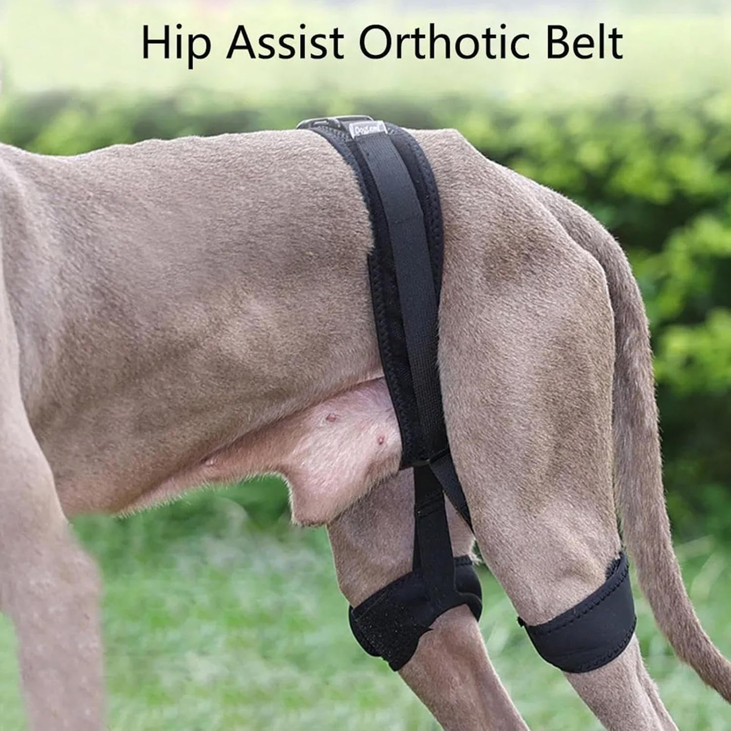 Hip Support for Dogs - Pet Correction Aid, Breathable Hip Belt Lift Brace, Auxiliary Dog Harness, Walking Travel Outgoing Assistance, Home Mobility Support, Comfortable Ergonomic Dog Recovery Gear