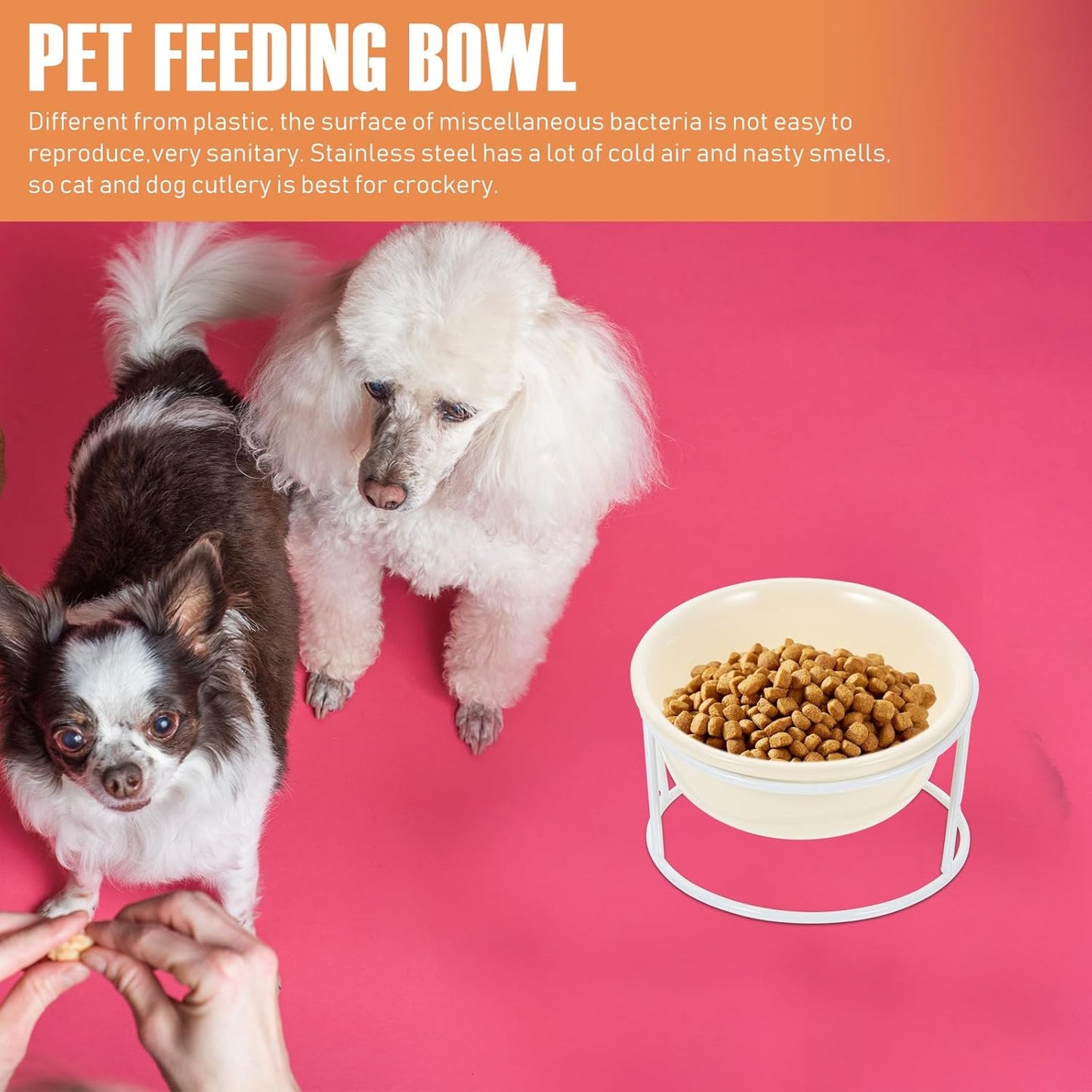 Milisten Ceramic Elevated Cat Food Bowl with Iron Stand Pet Food Holder and Water Dish Raised Feeding Bowl for Cats and Dogs Neck Protection Design for Home Use