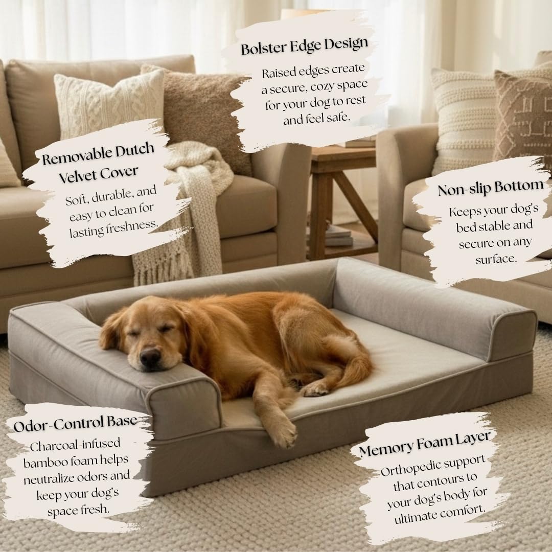 Dual-Layer Orthopedic Dog Bed for Medium & Large Dogs – Cozy, Velvety, Machine-Washable, Odor-Resistant (Gray, Large)