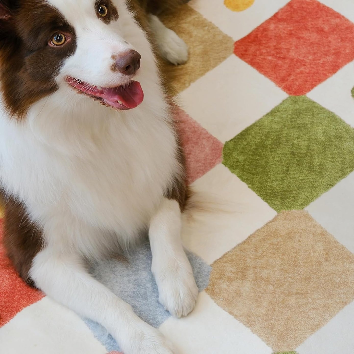 jinchan Macy 5x7 Area Rug for Kids Room Modern Colorful Checkered Diamond Nursery Rug Indoor Washable Soft Non Slip Carpet for Playroom Classroom Bedroom Dorm Daycare Living Room Circus on Cream