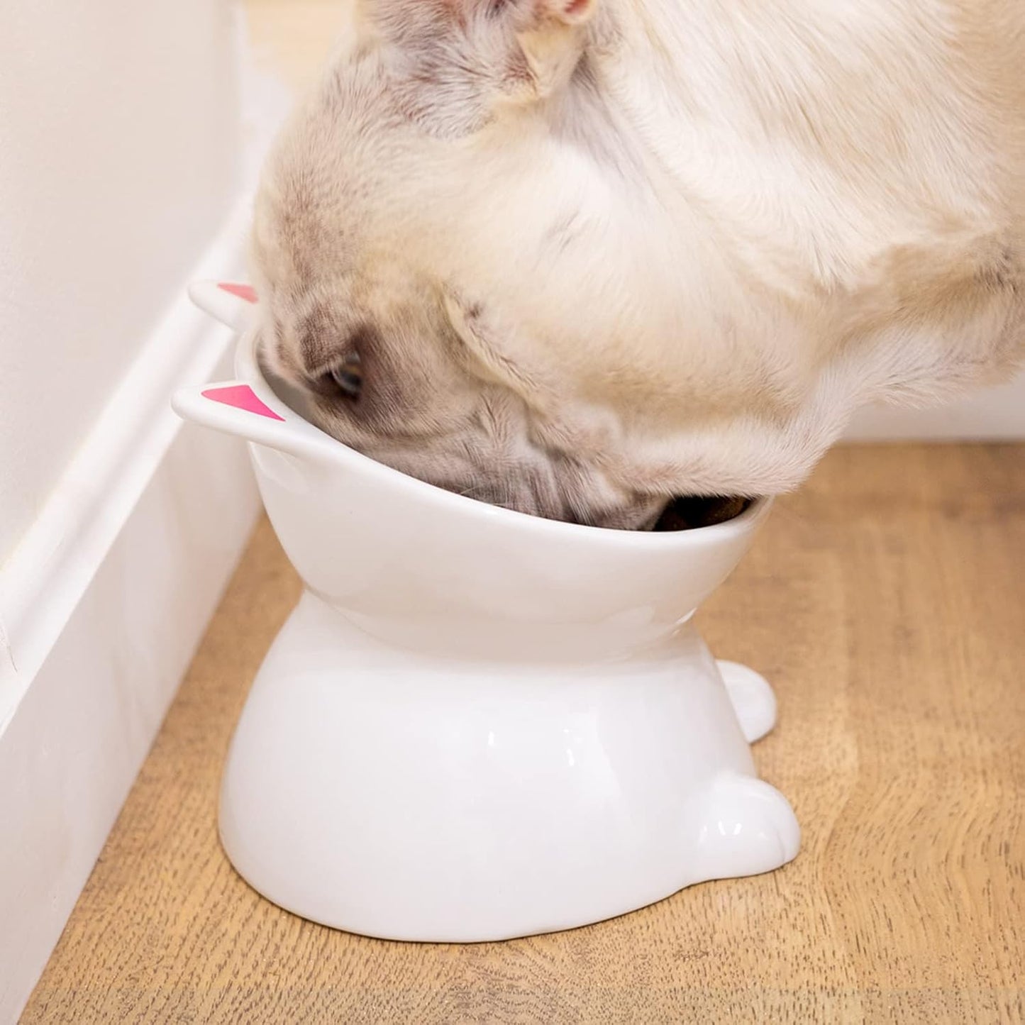 Elevated Cat Food Bowl – Durable Ceramic Pet Bowl for Wet or Dry Food, Water – Stylish & Comfortable for Cats – Great Gift for Cat Lovers