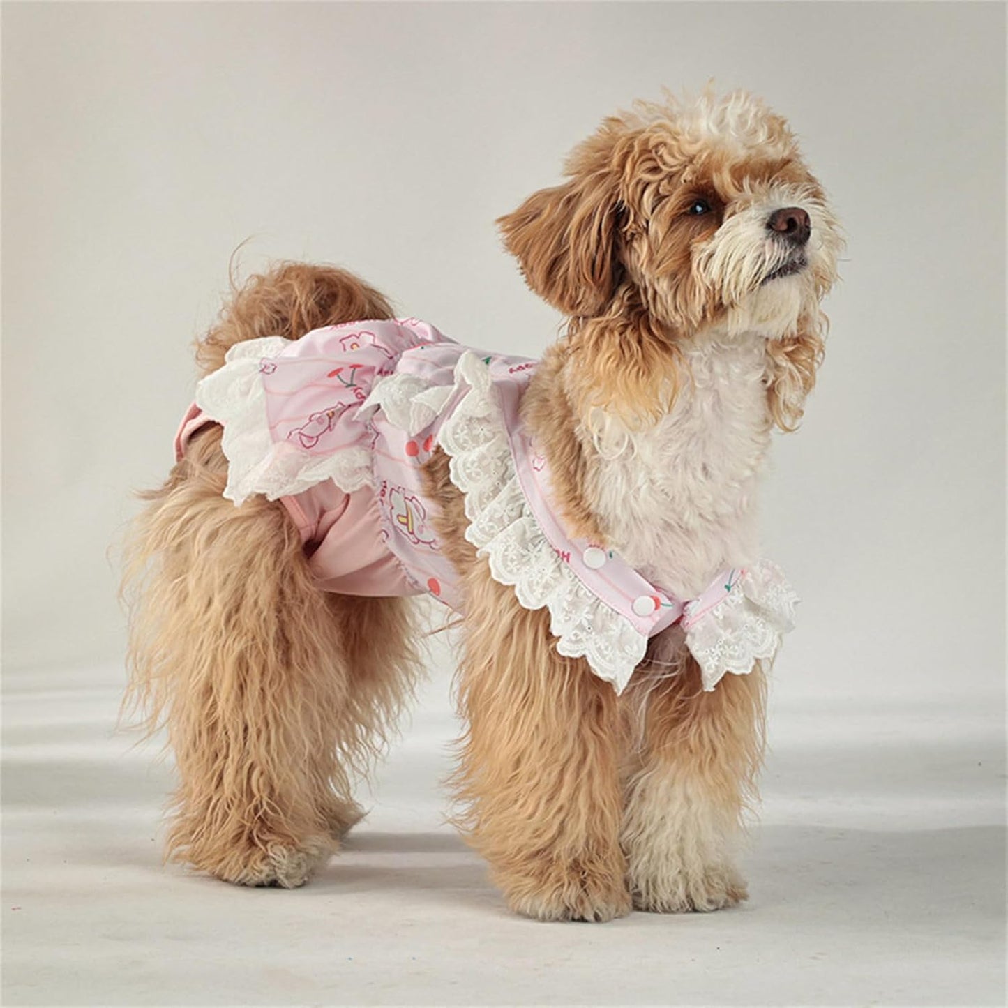 Absorbent Doggies Diaper Male Pet Dog Nappy Pants Puppies Pet Pants Ensuring At Homes Small Dog Clothing