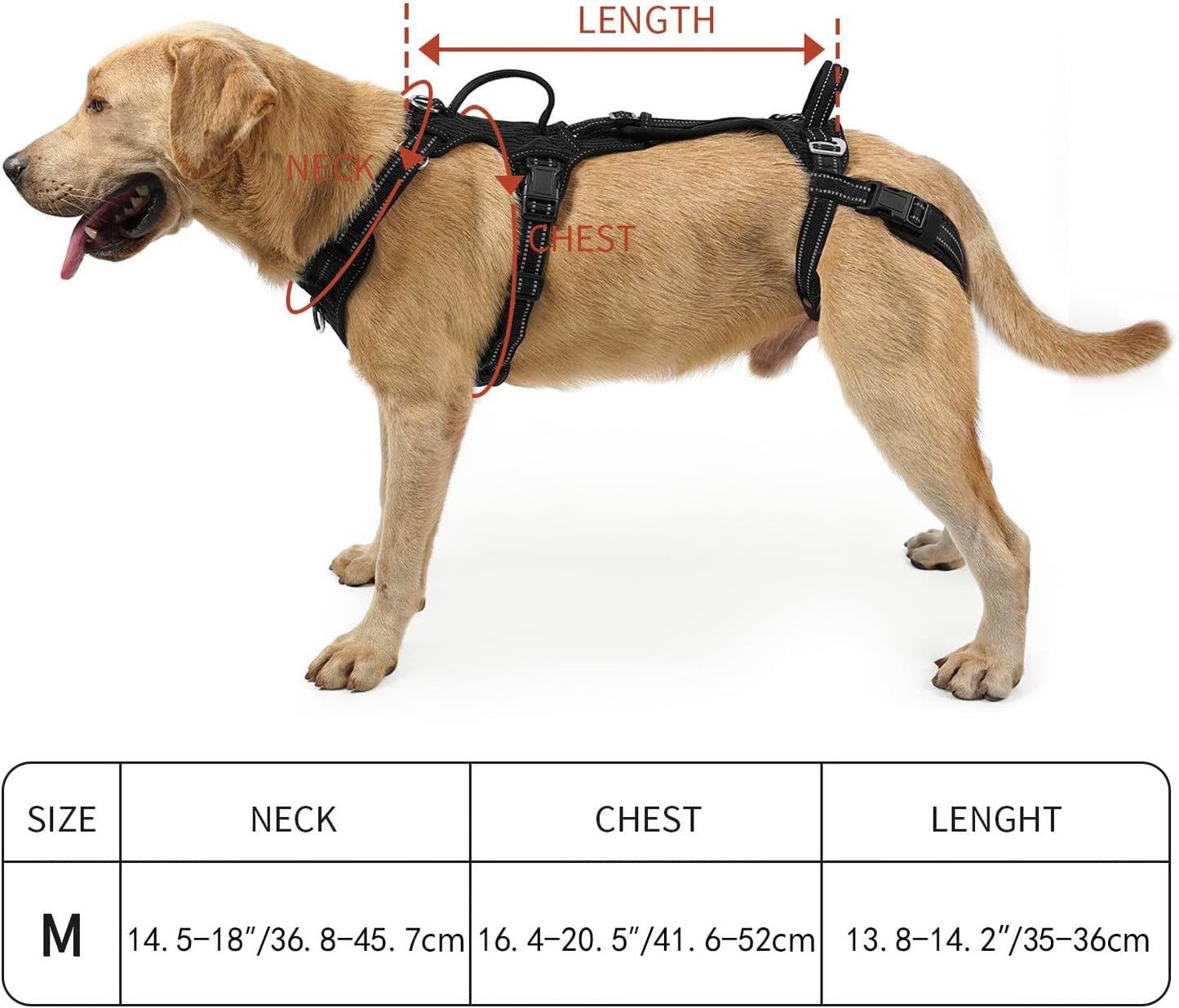 COODEO Mobility Dog Lift Harness, Support Sling & Walking Sling for Dogs, Pet Rear Leg Rehabilitation Support Vest, Dog Carrier for Senior Dogs with Joint Injuries, Arthritis, Up Stair (Black, M)
