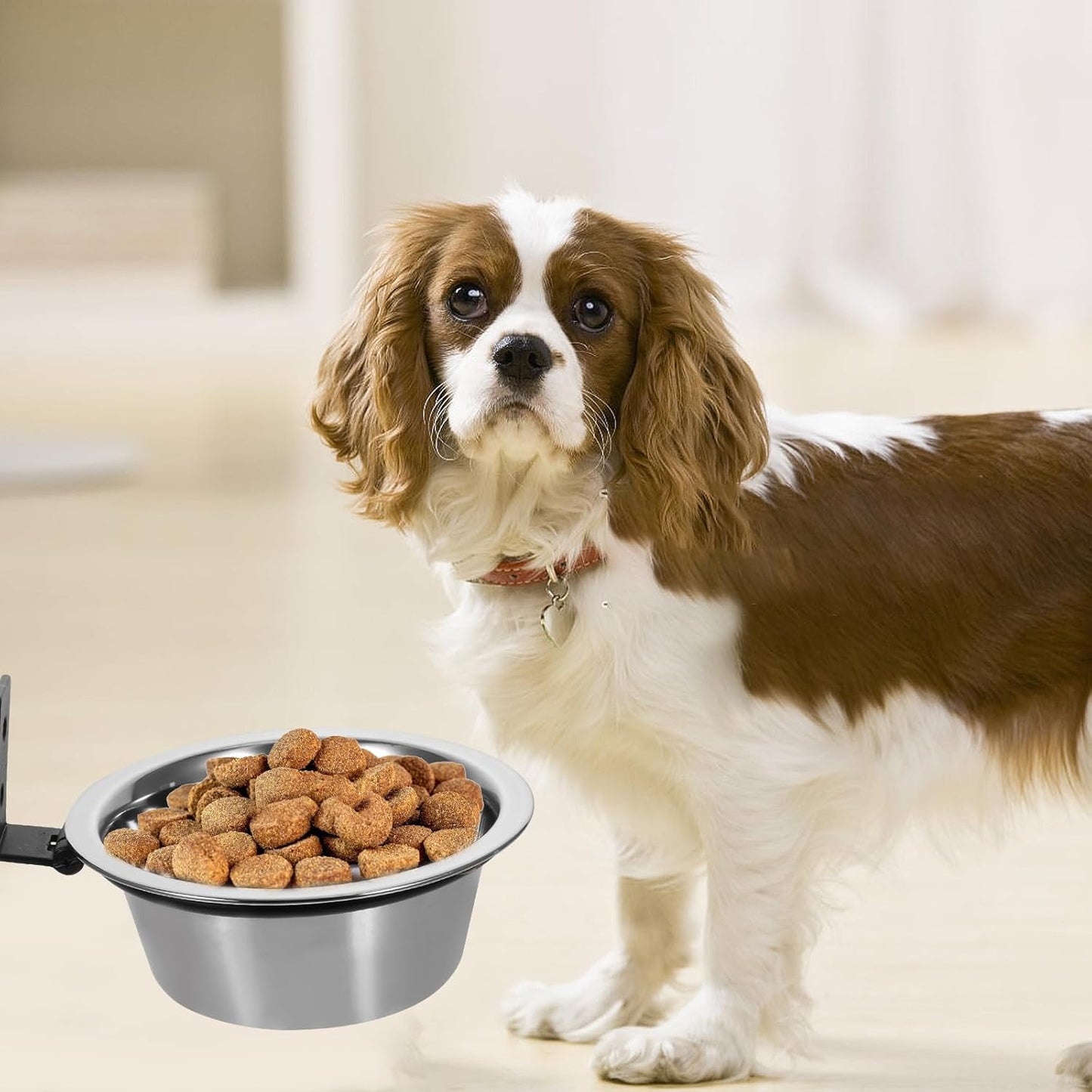 Milisten Elevated Wall-Mounted Dog Bowl 6-inch Raised Pet Food and Water Feeder Small to Medium Dogs Puppy Feeder for Comfortable Feeding