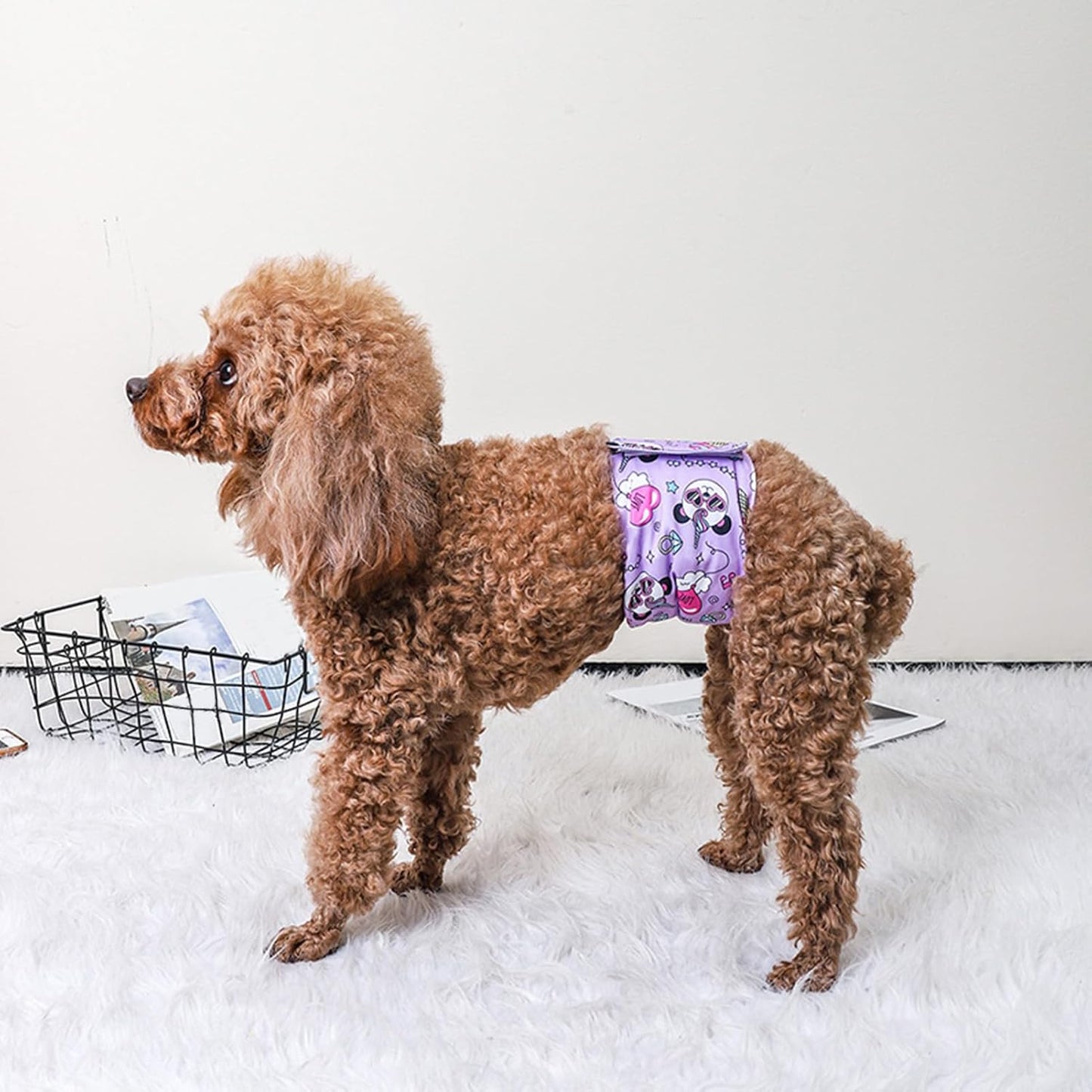 Male Dog Physiological Pant Breathable Adjustable Waist Reusable Washable Pet Diaper for Indoor Outdoor Use Polyester Material (L)