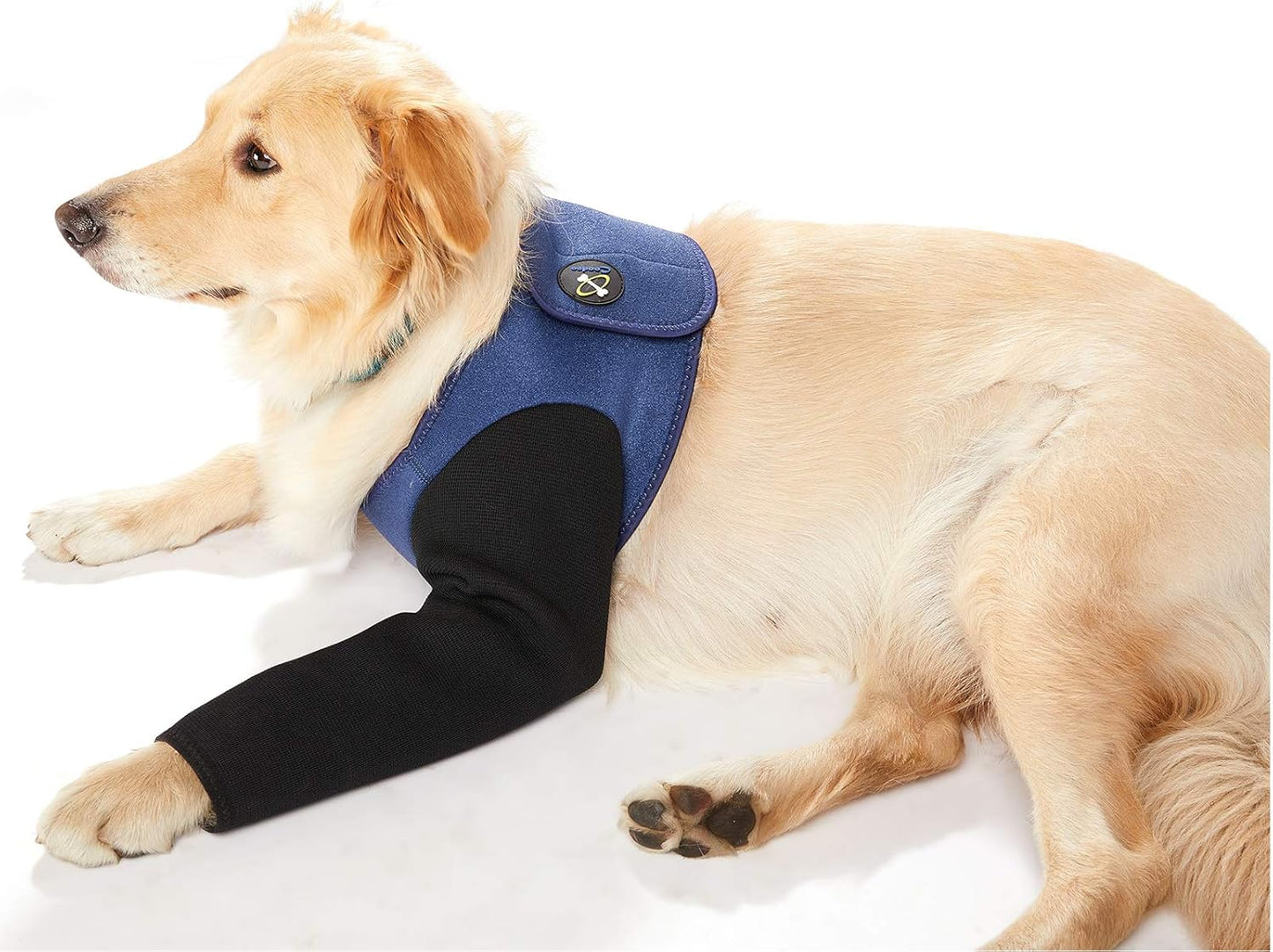 Coodeo Dog Recovery Suit, Cone Collar Alternative, Abrasion Resistant Dog Recovery Sleeve, Washable 2.5mm Thick and Waterproof, Pet Wounds Prevent Licking, Bite, Keep Dry（Blue，L
