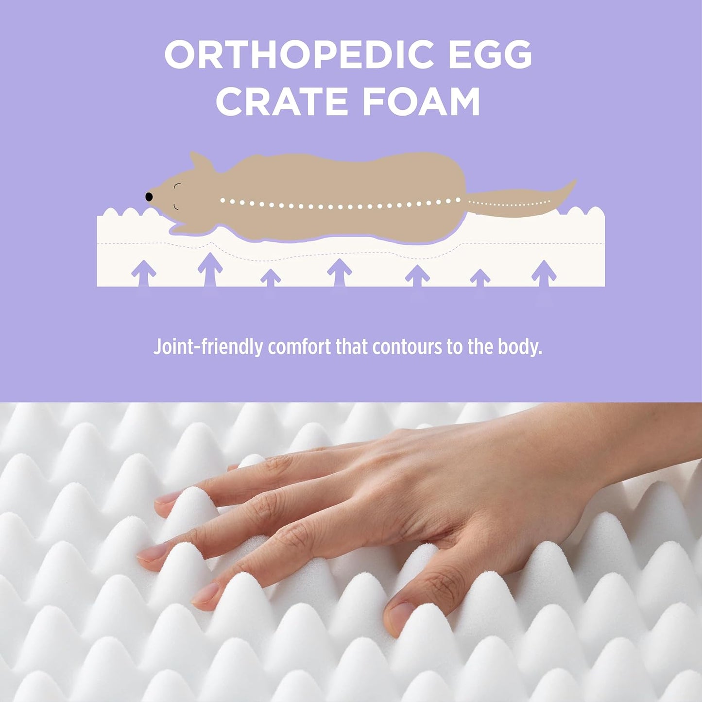 LE SURE Cute Orthopedic Dog Bed for Extra Large Dogs, XL Waterproof Chic Flat Pet Beds with Removable Washable Cover, Fuzzy Thick Egg Crate Foam Pet Mat for Indoor Use (44" x 32", Cream)