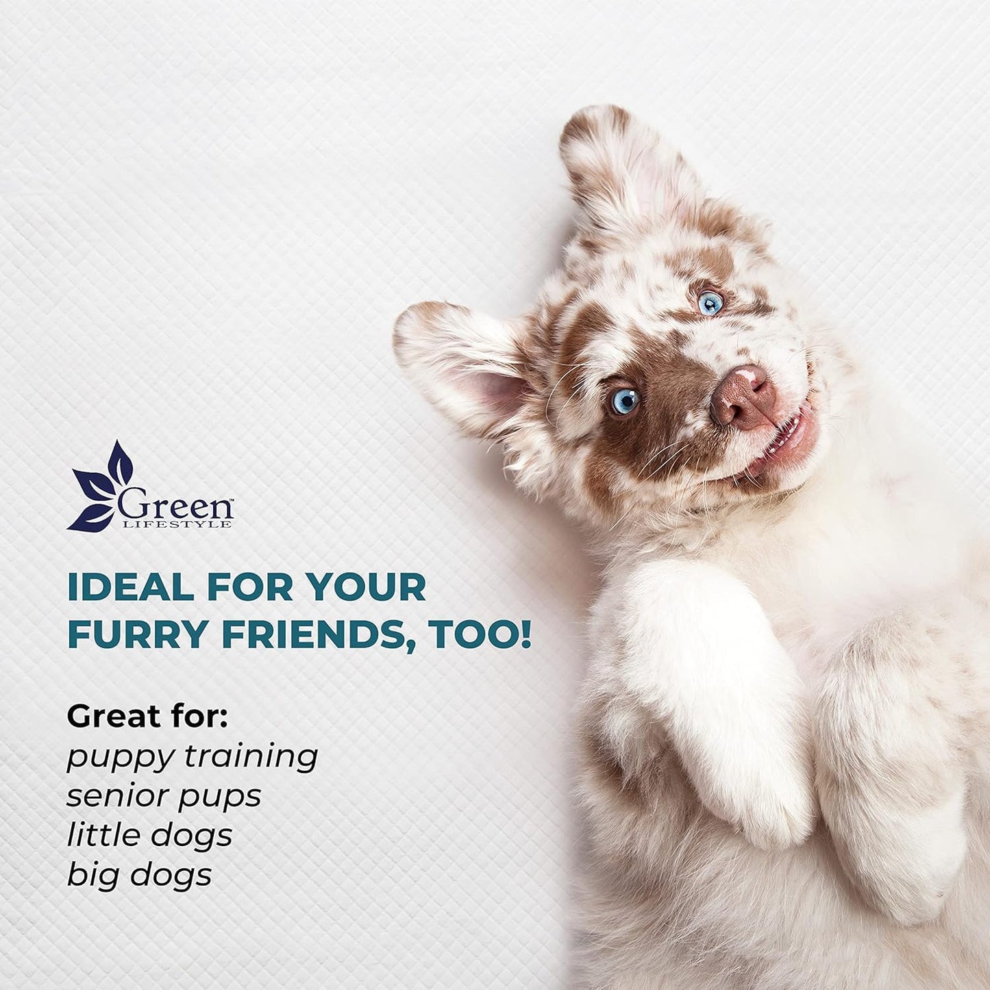 GREEN LIFESTYLE Underpads - Chucks Pads Disposable Adults, for use as Incontinence Bed Pads, Pet Pads, Pee Pads for Dogs, Cats, Bunny, Seniors Bed Pad (Pack of 50 - 30x36)