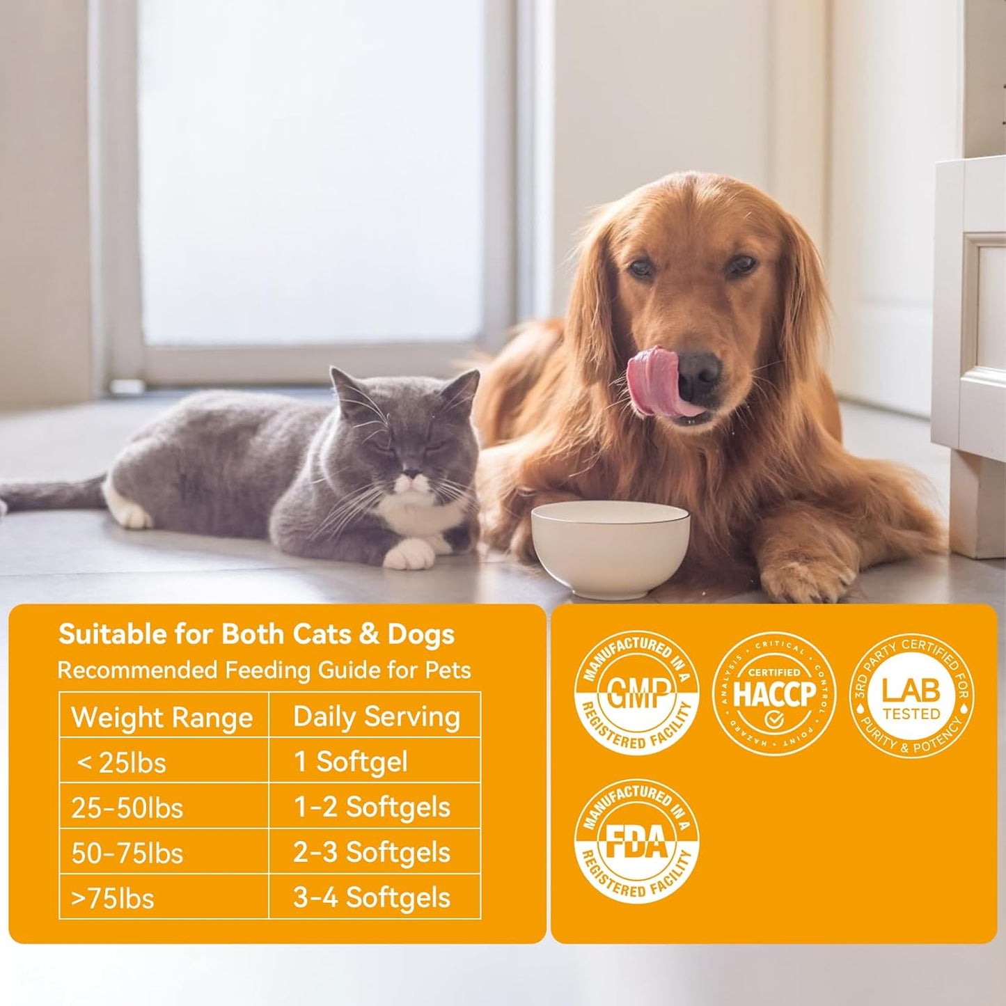 Probiotics for Dogs & Cats - 33.3B CFU, 11 Patented Strains & 4 Digestive Enzymes - Digestive & Gut Health, Immune Support, Cholesterol Metabolism & Weight Management - 80 Capsules