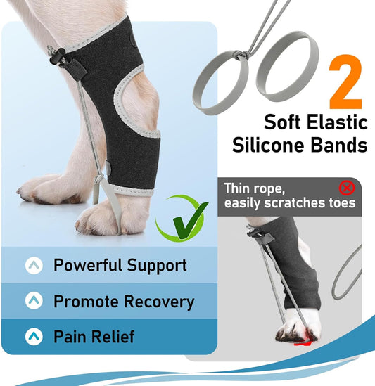 Supet Knuckling Brace for Dogs, Comfortable Foot Splint, Ankle Brace Back Leg for Toe Dragging Cause by Myelopathy, Sciatic Nerve Insufficiency & Herniated Disc (Black, M)