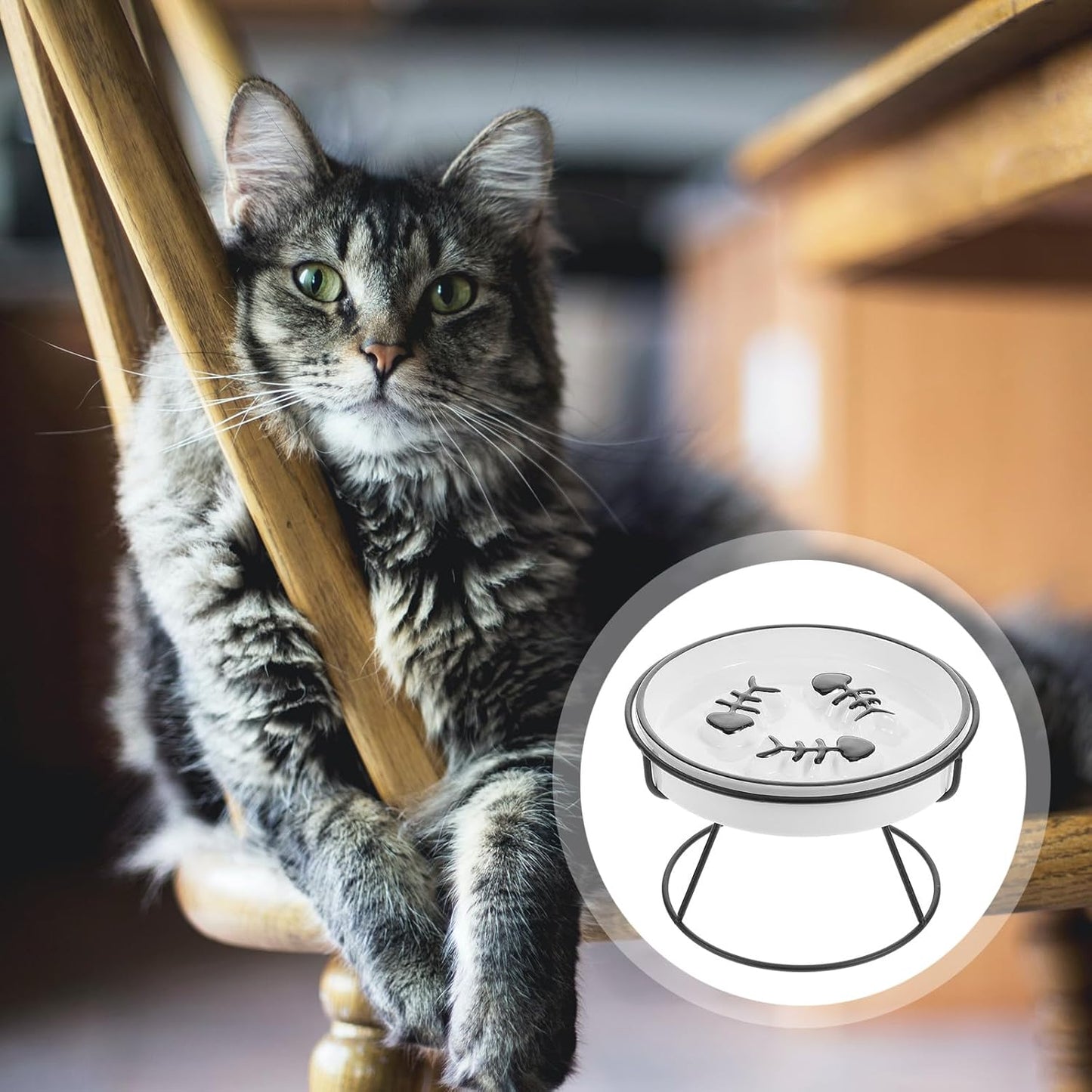 Milisten Elevated Ceramic Cat Bowl and Dog Bowl Slow Feeder with Iron Stand Raised Pet Feeding Station for Small Dogs and Cats to Promote Slow Eating and Spine Protection, Black