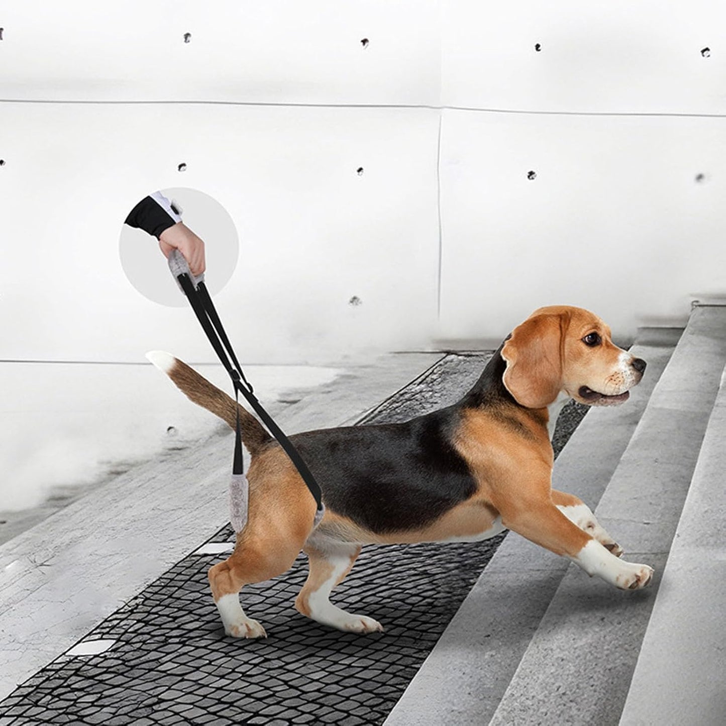 2Pcs Dog Mobility Aids for Walking, Pet Support Harness for Back Legs Disabled Injured Pets Adjustable Easy to Wear Hind Leg Sustain Tool