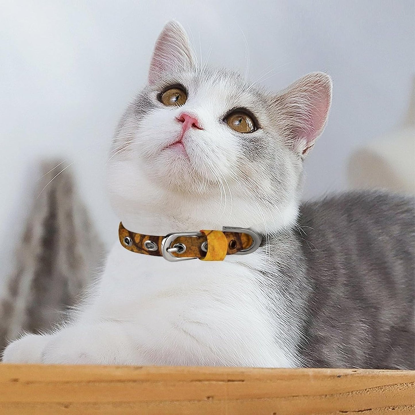Fall Foliage Dog Collar with Buckle Adjustable Martingale Pet Collars Cute Female Male Puppy Collar Soft Waterproof Cat Collars for Small Medium Dogs