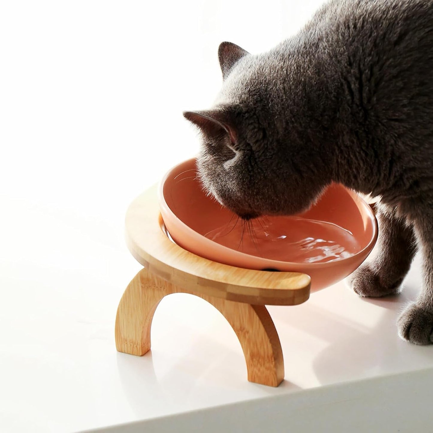 Milisten Pet Feeding Bowl Set 300ml Slanted Raised Cat Feeder with White Food Bowl and Rainbow Wooden Stand for Indoor Cats and Kittens
