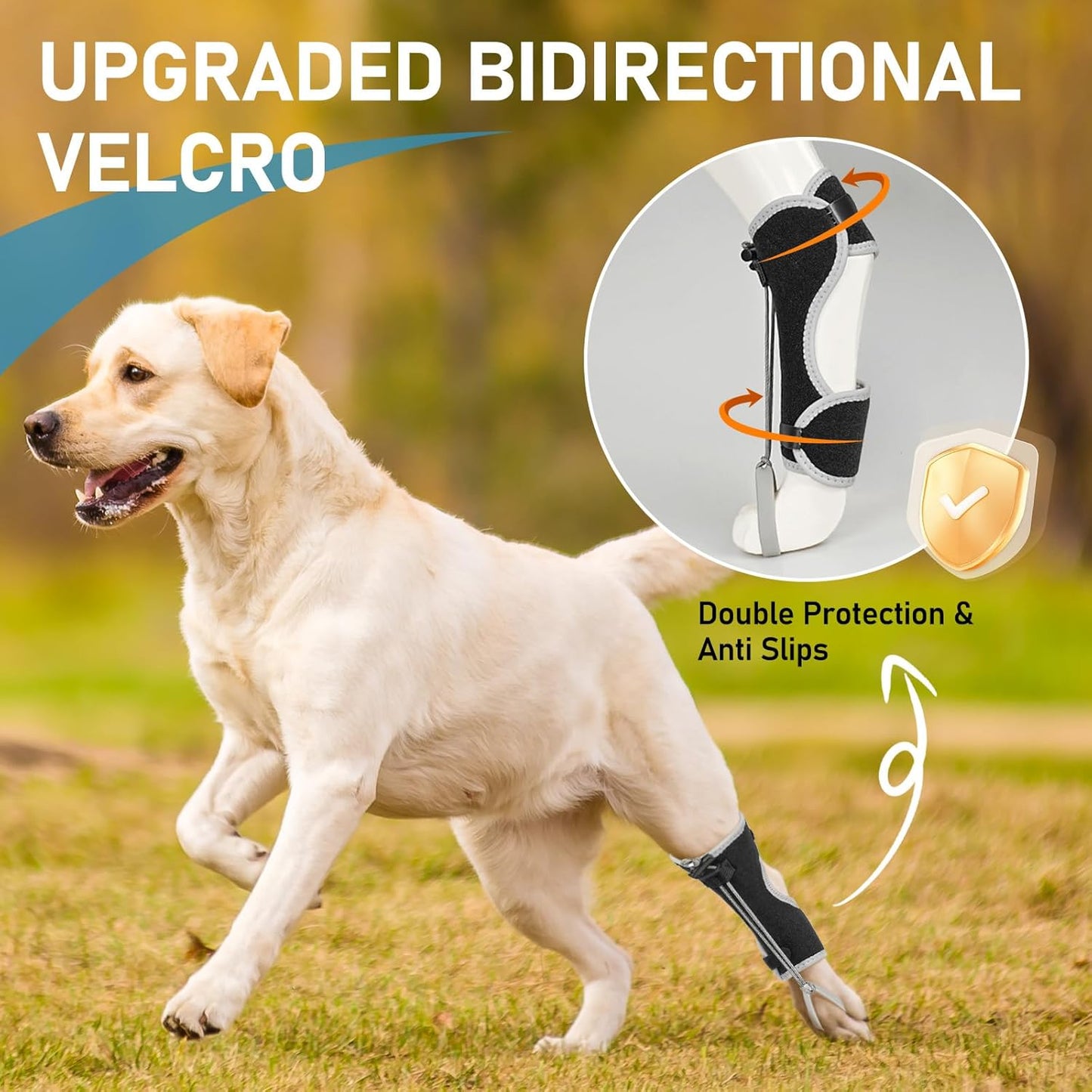 Supet Knuckling Brace for Dogs, Comfortable Foot Splint, Ankle Brace Back Leg for Toe Dragging Cause by Myelopathy, Sciatic Nerve Insufficiency & Herniated Disc (Black, M)