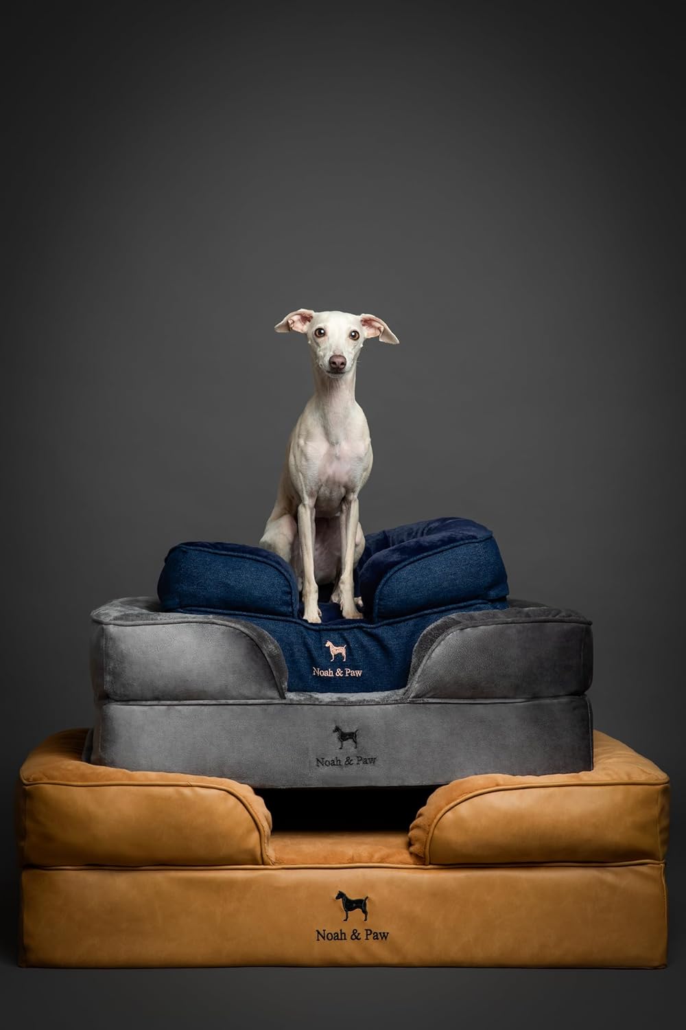 NOAH & PAW Dog Bed, 28x23x11 Inch, Orthopedic Dog Beds for Medium Size Pets, Eggshell Memory Foam Infused with Cooling Gel, Inner Cover, Waterproof, Machine Washable (Velvet Sofa Collection)