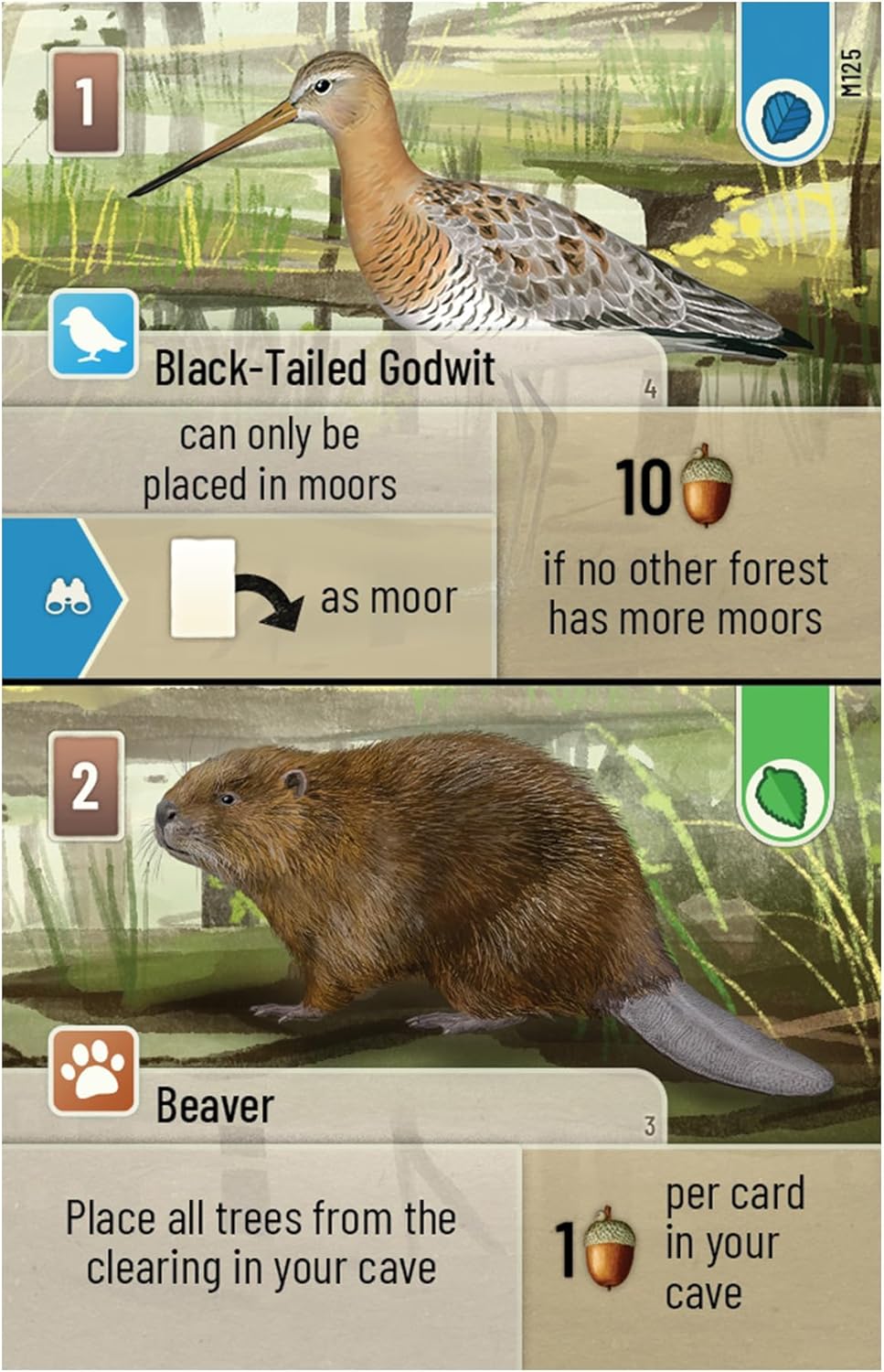 Forest Shuffle Dartmoor Card Game - Build Habitats, Place Trees & Attract Fauna in This Standalone Strategy Game for Kids & Adults, Ages 10+, 2-5 Players, 60 Min Playtime