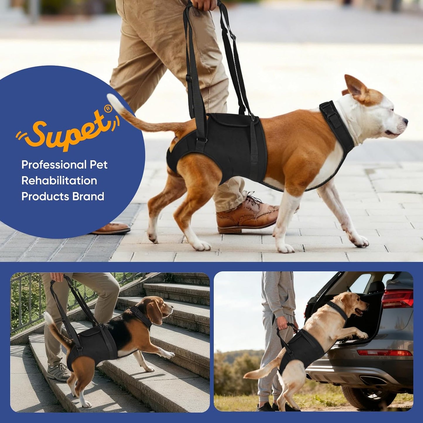Supet Dog Sling for Large Dogs Hind Leg Support, Senior Dogs Lift Assist Harness for Weak Back Leg Support, Help Large Breed Rear Leg Up Harness, Mobility Aids for Elderly, Injured, Paralyzed Dog, M
