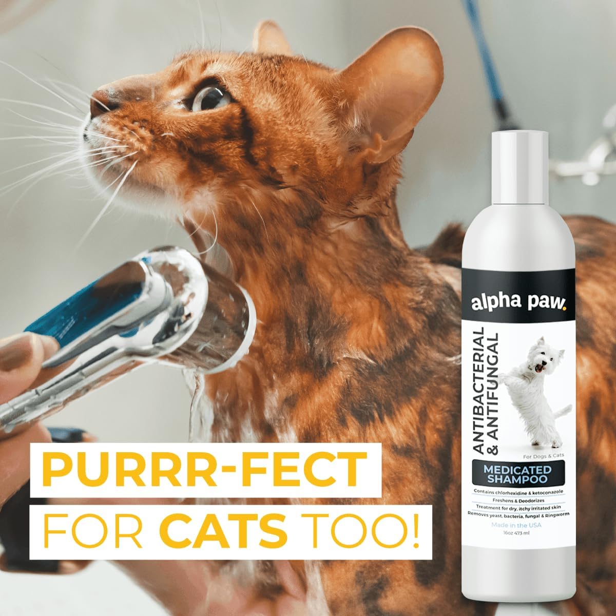 Smiling Paws Pets Medicated Grooming Kit Including: Wipes, Shampoo, and Brush for Dogs & Cats