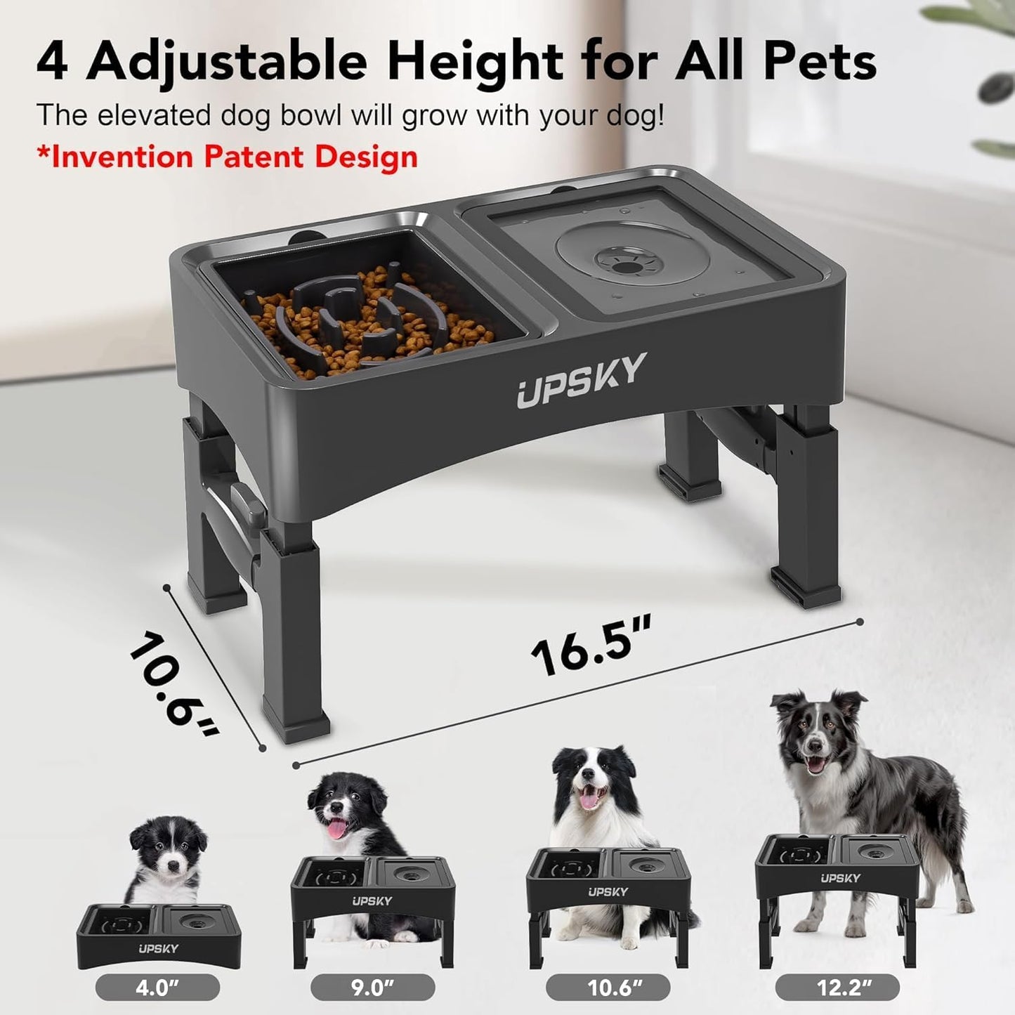 1Pcs Dog Water Bowl Replacement Basic Dog Bowls, Black
