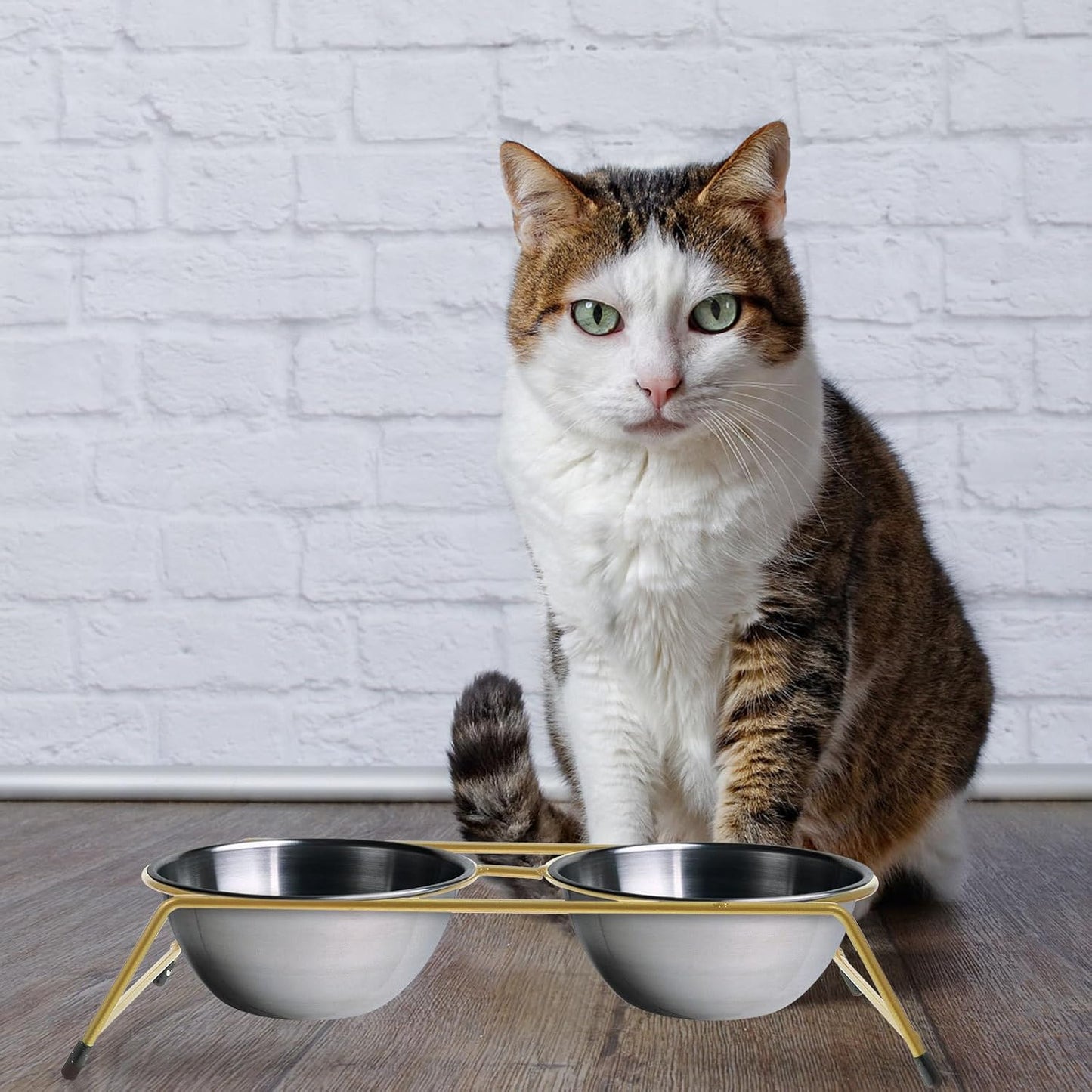 Milisten Elevated Cat Bowl Stand with Dual Non-Slip Iron Rack, Raised Kitten Feeding Station for Spine Protection, Pet Feeder Bracket Suitable for Indoor Cats