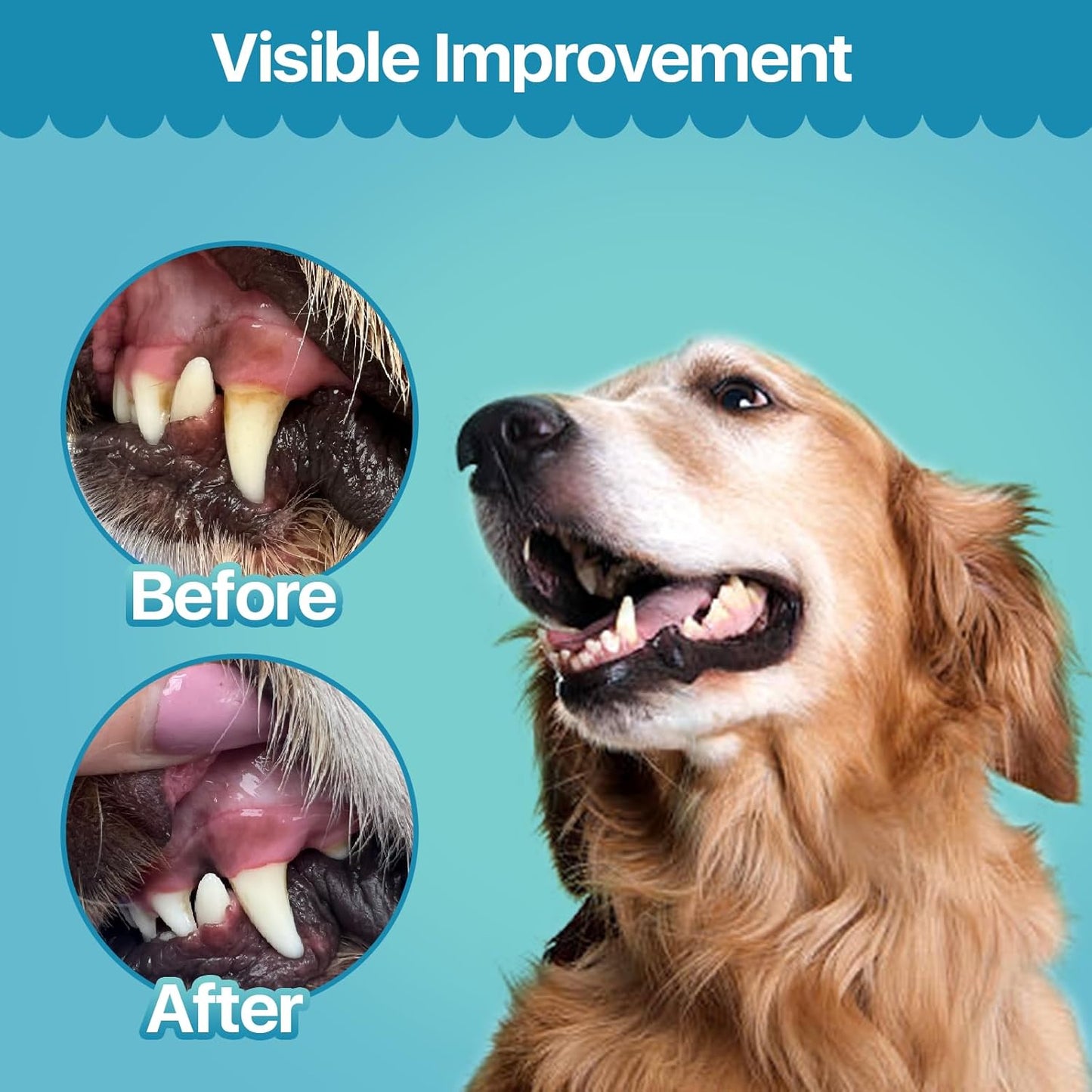 Replenish Dental Wipes for Dogs and Cats - Dog Teeth Cleaning Wipes - Pet Dental Finger Wipes for Dogs – Easy to Use Gentle Pet Dental Wipes - Effective Dog Teeth Cleaner - 50 Count