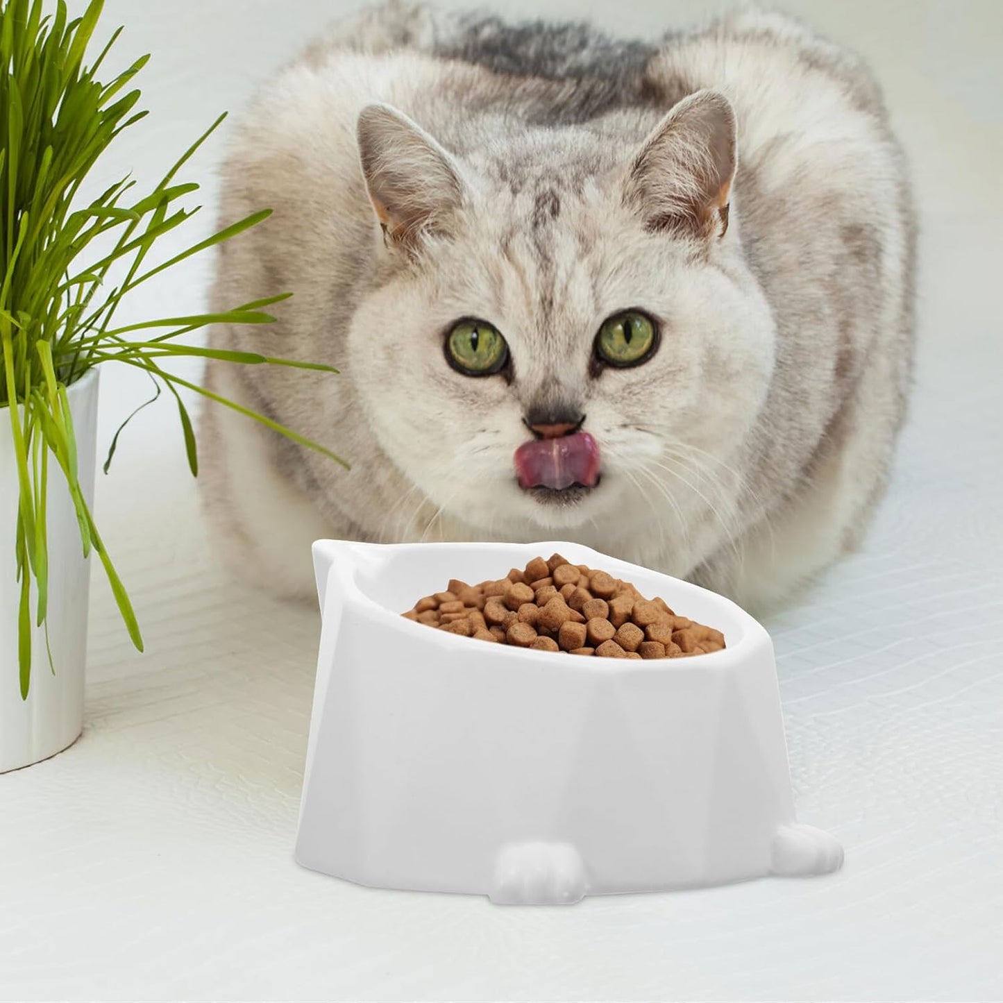 Milisten Ceramic Raised Cat Bowl Elevated Feeding Dish Anti-Spill Wear-Resistant Compact Pet Bowl for Indoor Cats and Small Dogs, White,