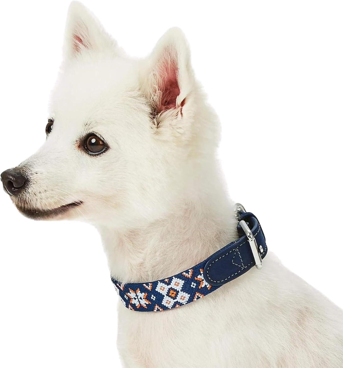 Blueberry Pet 3 Patterns Southwestern Modern Tribal Print Genuine Leather & Polyester Fabric Combo Dog Collar with Metal Buckle - Navy Braided, Small, Neck 12"-15"