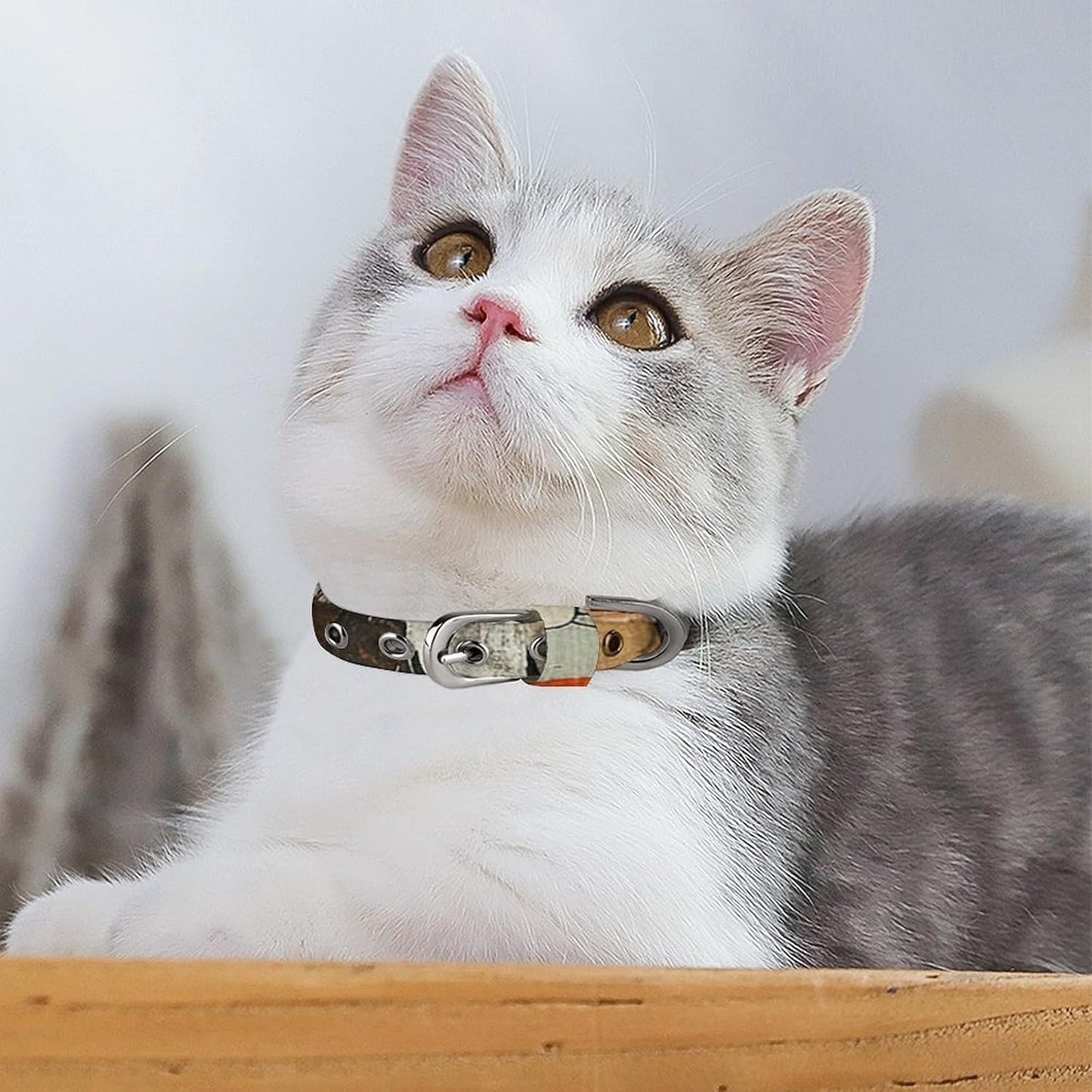 Abstract Style Painting Dog Collar with Buckle Adjustable Martingale Pet Collars Cute Female Male Puppy Collar Soft Waterproof Cat Collars for Small Medium Dogs