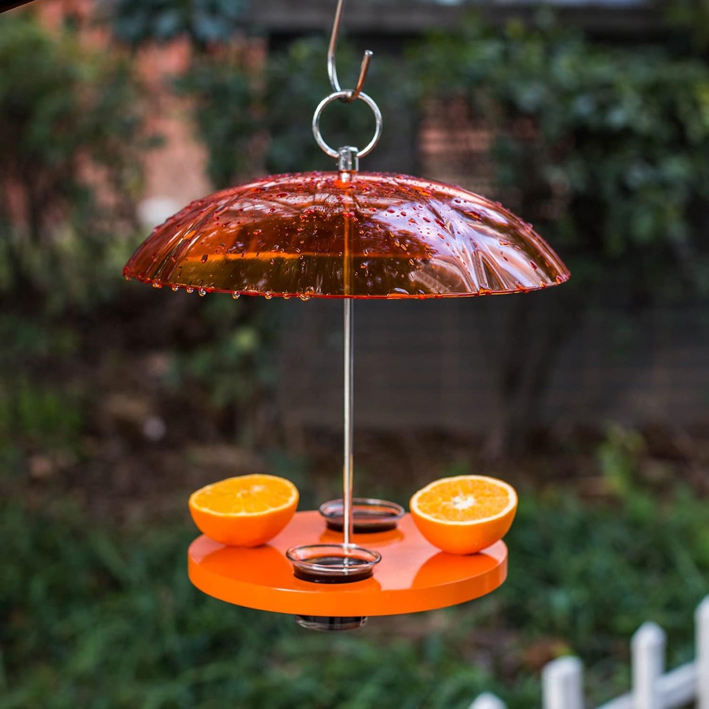 Kingsyard Oriole Bird Feeders for Outdoors Hanging, Double-Cup Jelly Platform Bird Feeder with Pegs for Orange Halves, Weather Protective Dome, Great for Attracting Orioles
