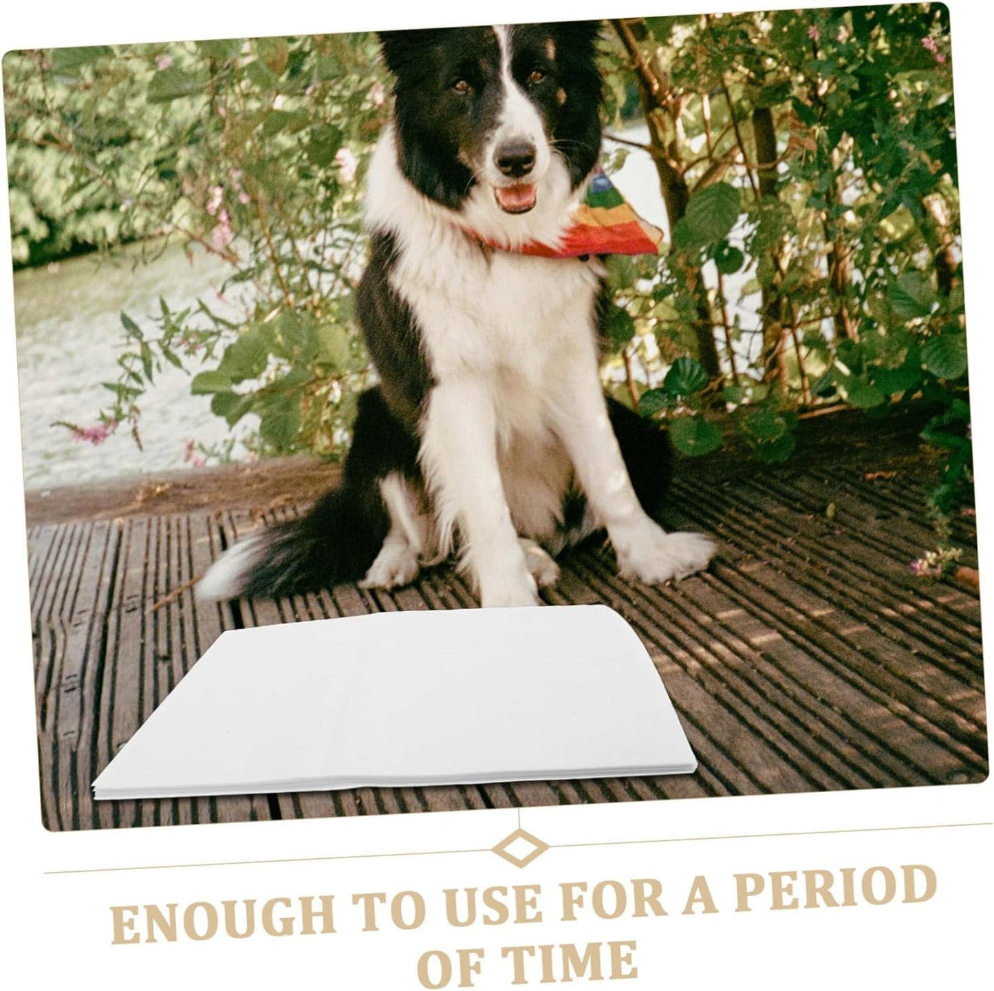 Milisten 50pcs Large Dog Pee Pads Disposable Puppy Training Sheets High Absorbent Nonirritating Pet Urine Pads for Cats and Dogs Skin Friendly Housebreaking
