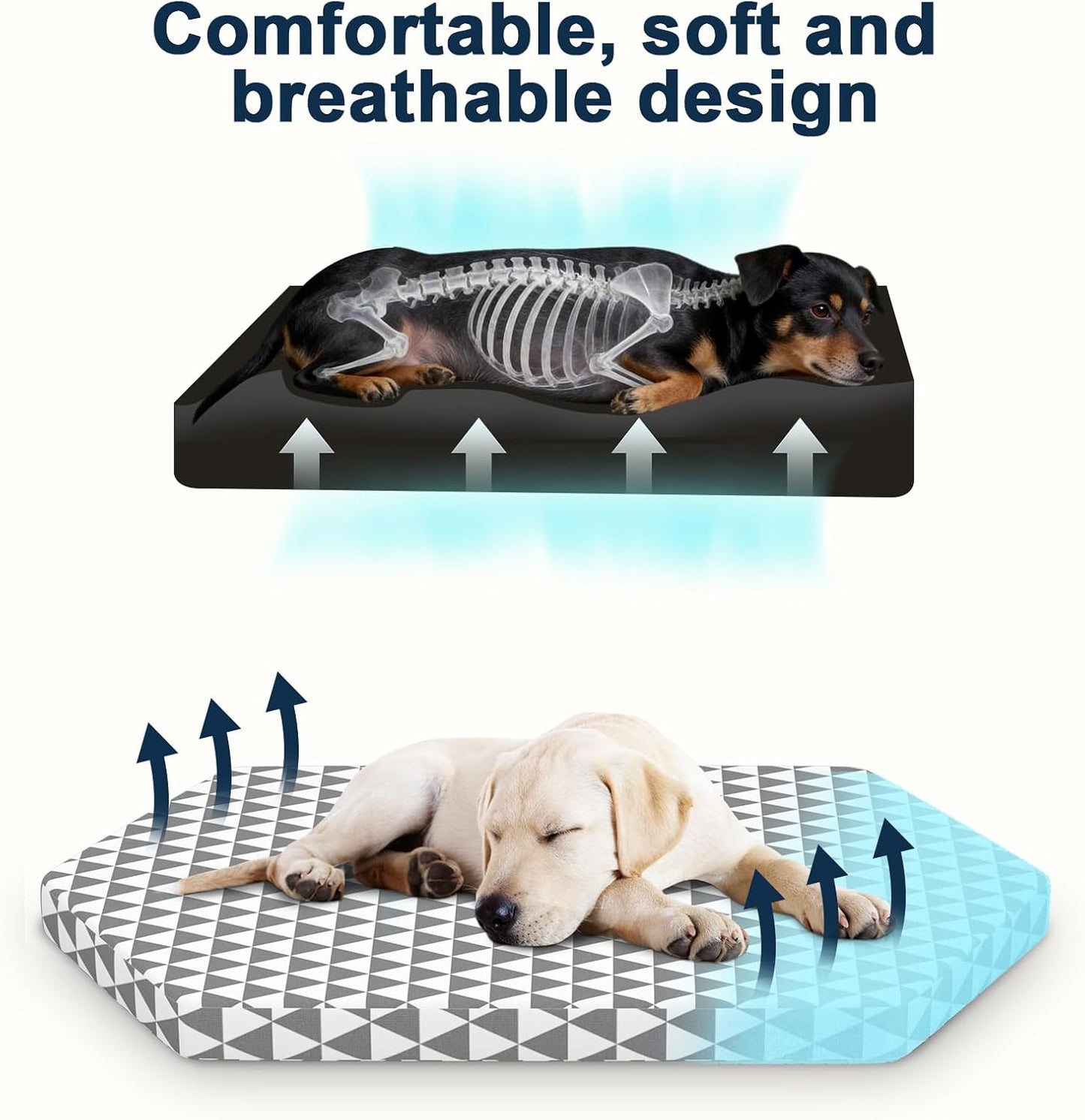 Orthopedic Dog Beds for Medium Dogs, Pet Bed with 6 Sides,Removable & cleanable Cover，M