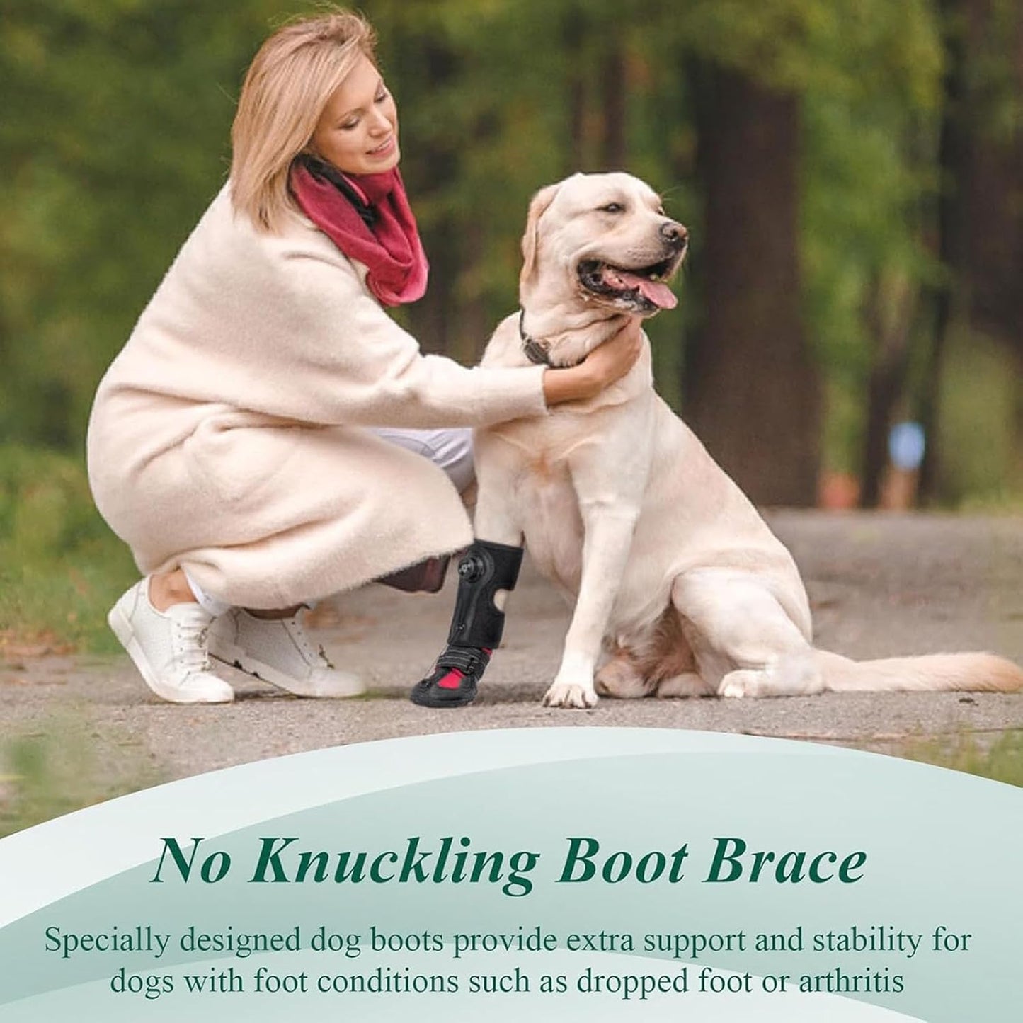 Diydeg Drop Foot Brace, Breathable Non Slip Sole Bottom Dog Boot Foot Protector, Corrective Dog Shoes to Safely Lift Toes for Foot Issues, Arthritis, Improving Walking Gait in Dogs (M)