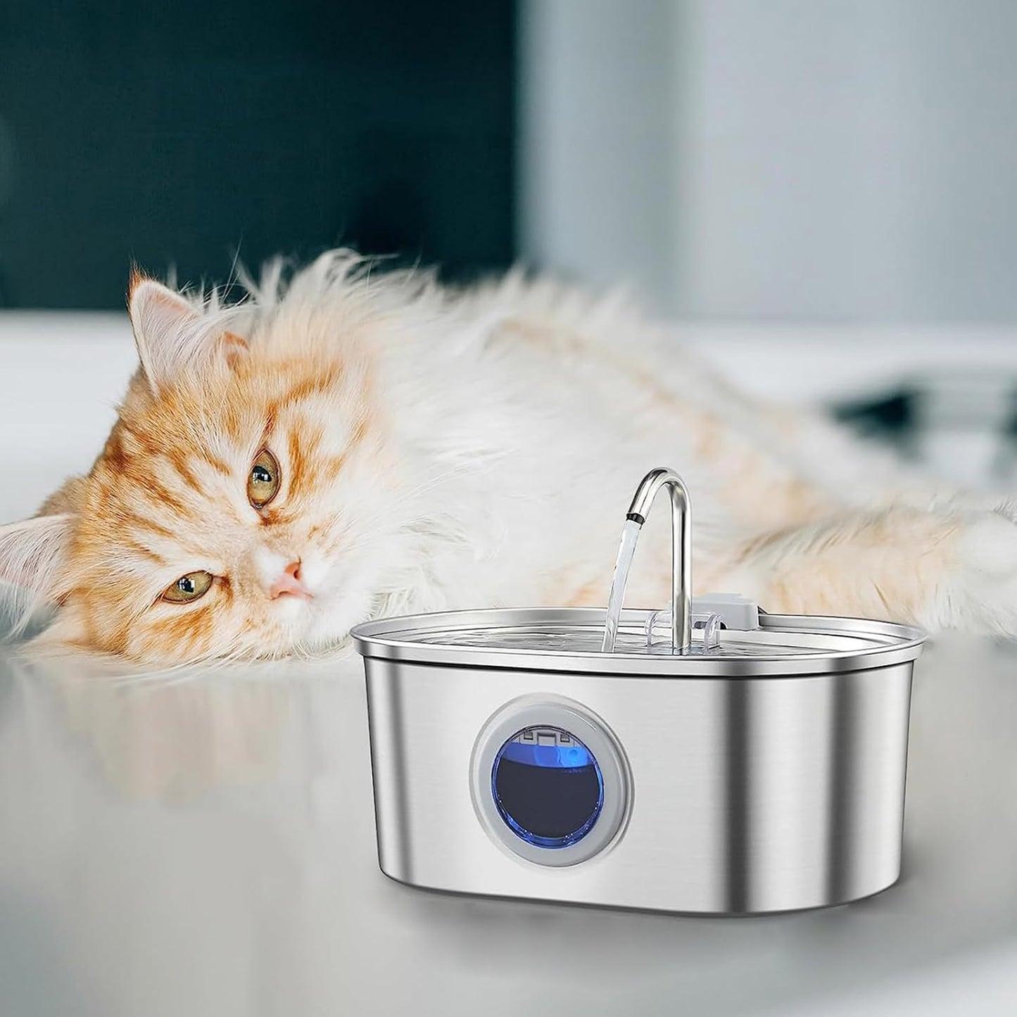 Cats Water Fountain Automatic Bowl Large Capacity Pet Dispenser Dogs Drinking Fountain