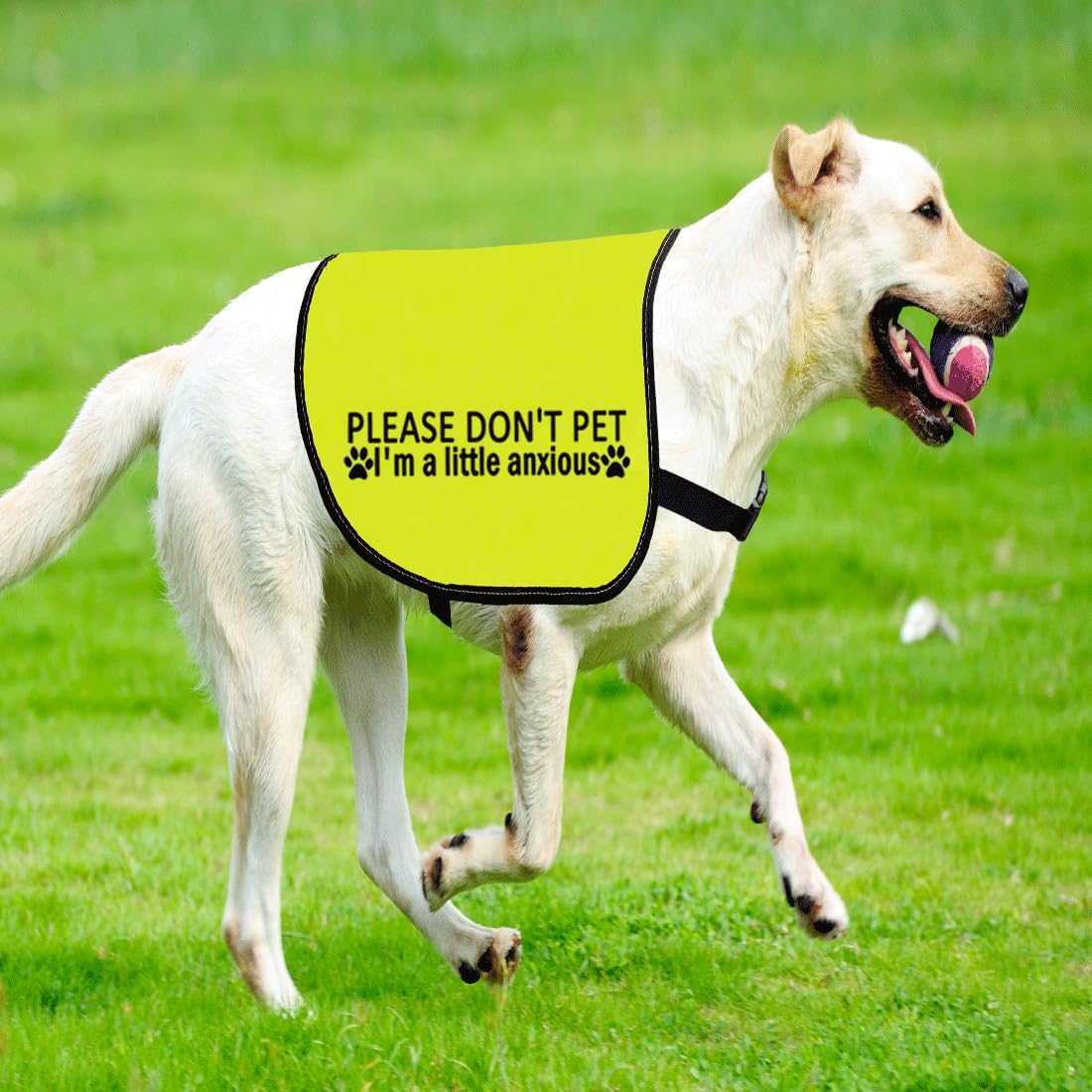 CENWA Please Don’t Pet I'm a Little Anxious Dog Jacket Vest Anxious Dogs Walking Slogan Warning Vest (Little Anxious L)