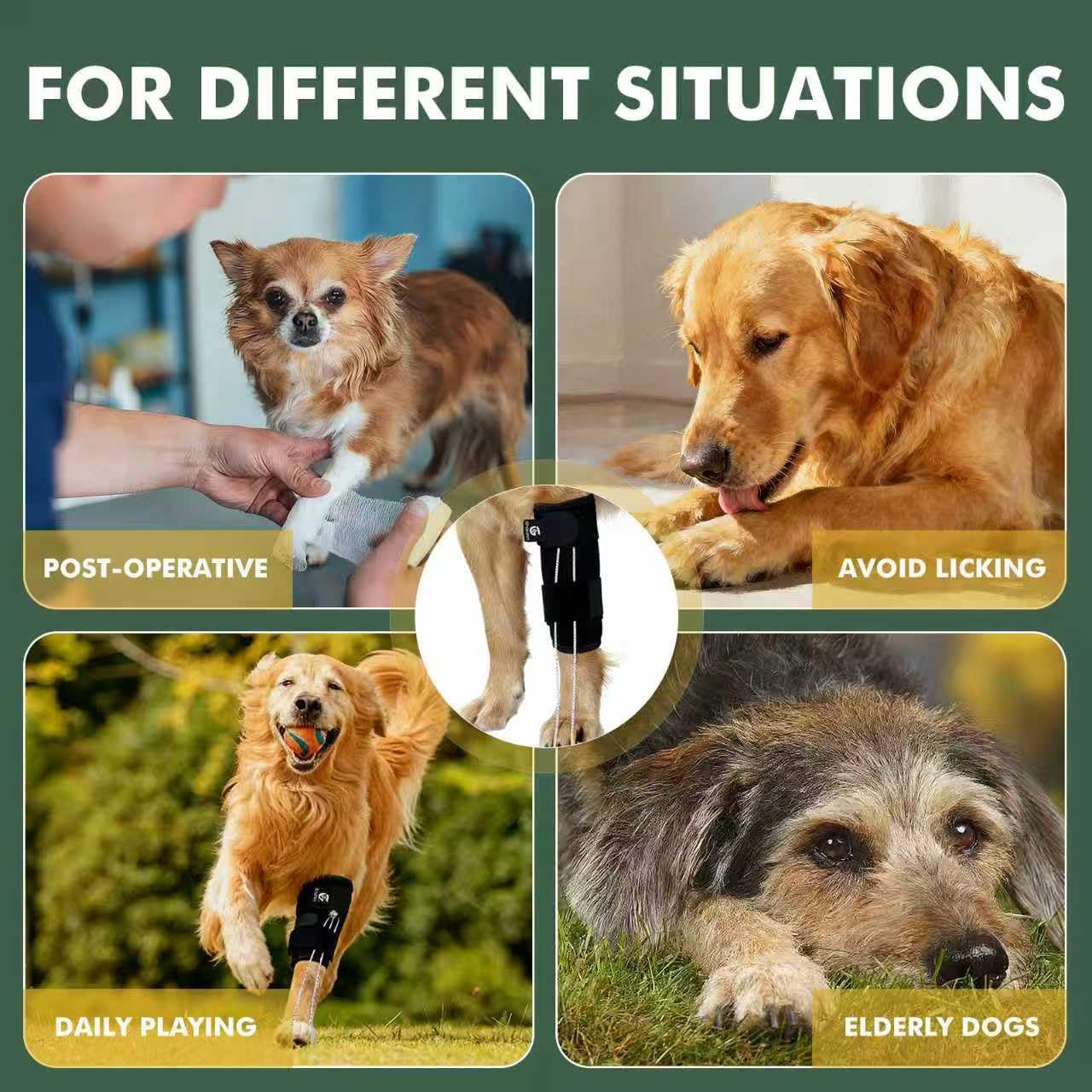 Dog Front Leg Support Brace for Foot Drop, Canine Knuckling Prevention, Toe Dragging Assistance