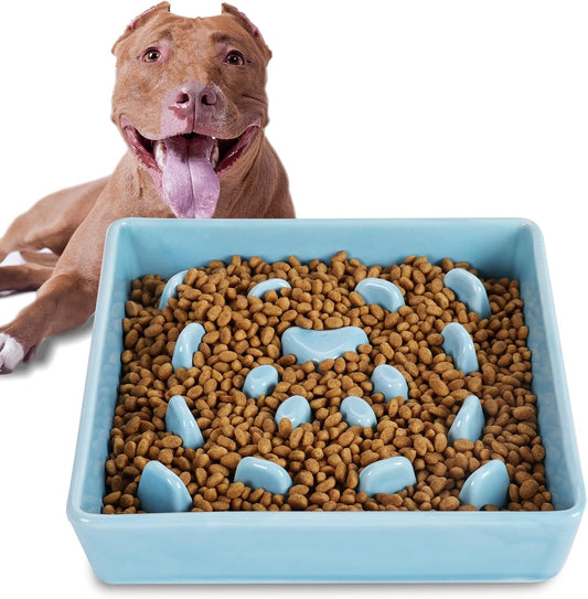 Square Slow Feeder Dog Bowls, Ceramic Fun Slow Eater Bowl for Small Medium Breed (Turquoise)