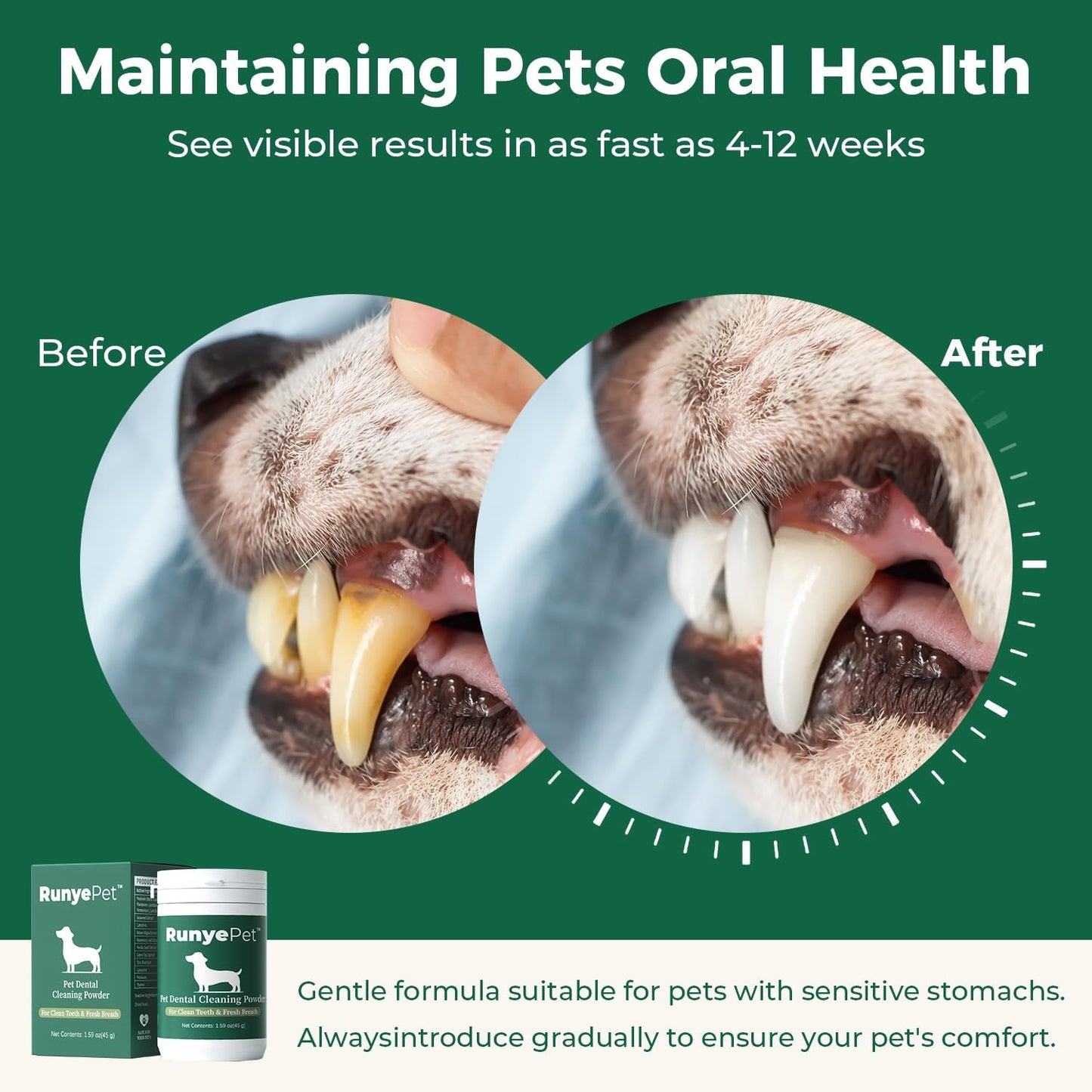 Dog Dental Powder, Plaque Off Pet Tooth Cleaning lab co - Bad Breath & Tartar Remover for Dogs, Dog Teeth Cleaning Powder and Cats Breath Freshener (1)