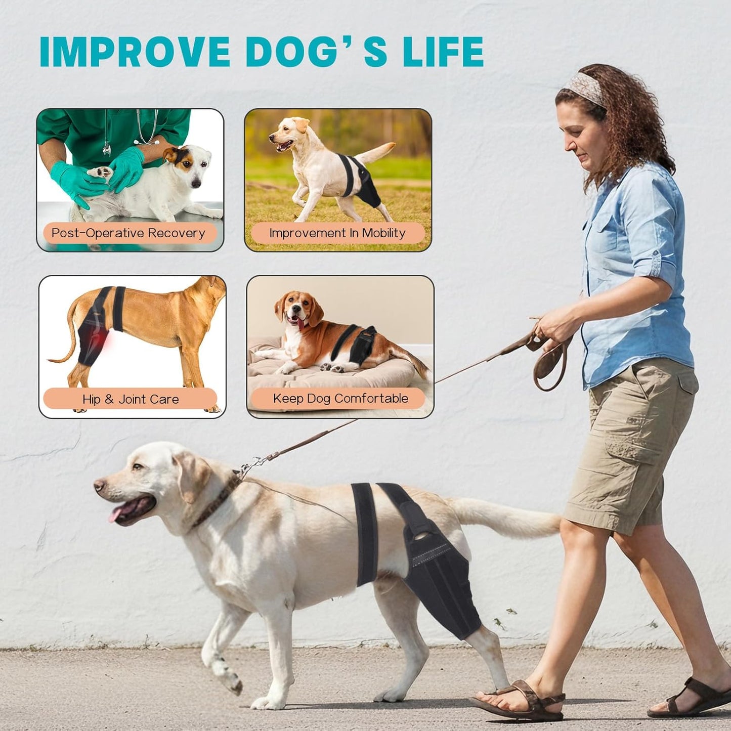 Dog Knee Brace–Adjustable Support Brace for Torn Acl Hind Legs with 2 Stabilizer Support to Reduces Pain, Ligament Injuries & Luxating Patella for Small Medium Large Dogs (Left Leg, M)