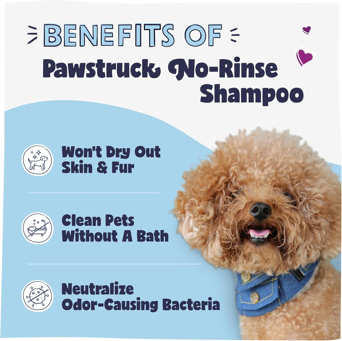 Pawstruck Natural No-Rinse Dry Shampoo for Dogs, Puppies, & Other Pets, Citrus & Rosemary - Waterless Deodorizing Spray Made in USA to Freshen & Remove Odors - 16 fl oz - Packaging May Vary