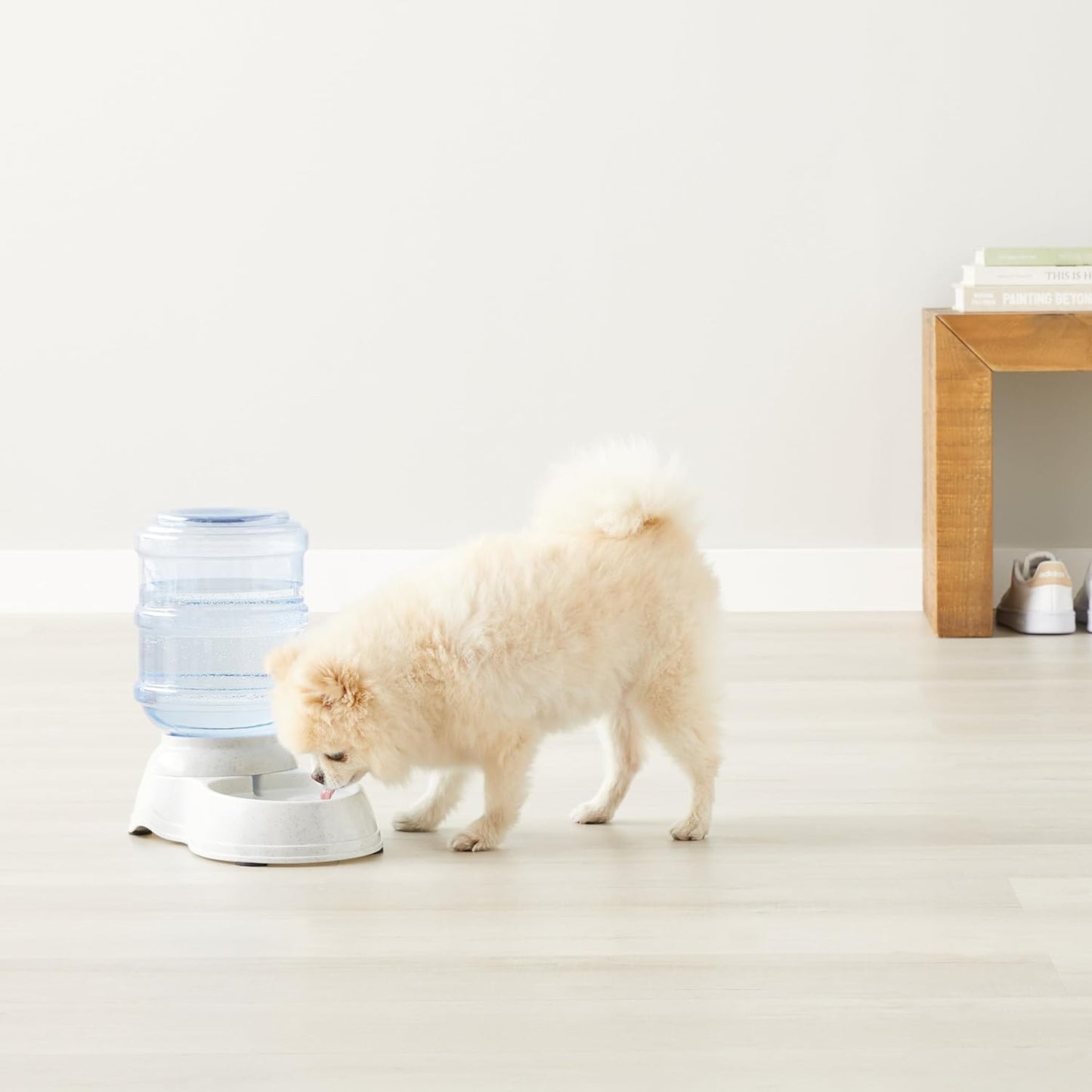 Amazon Basics Gravity Pet Water Dispenser for Cat and Dog, Easy to Clean, 1 Gallon Capacity, Small, Gray