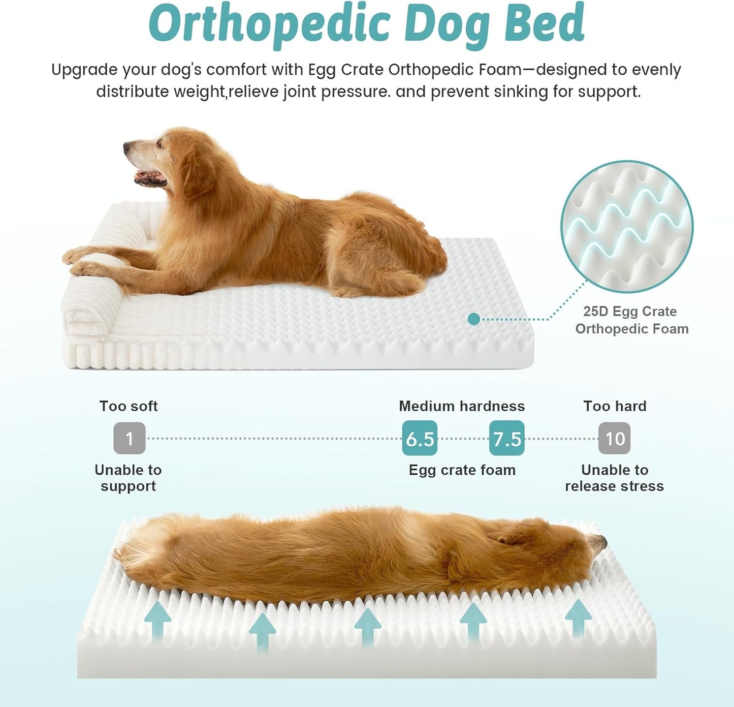 Large Dog Bed for Large Dogs, Faux Rabbit Fur Orthopedic Foam Dog Bed with Sides, Removable Washable Cover & Waterproof Lining, Comfortable Pet Couch, Cream (44" L x 32" W x 7" Th)