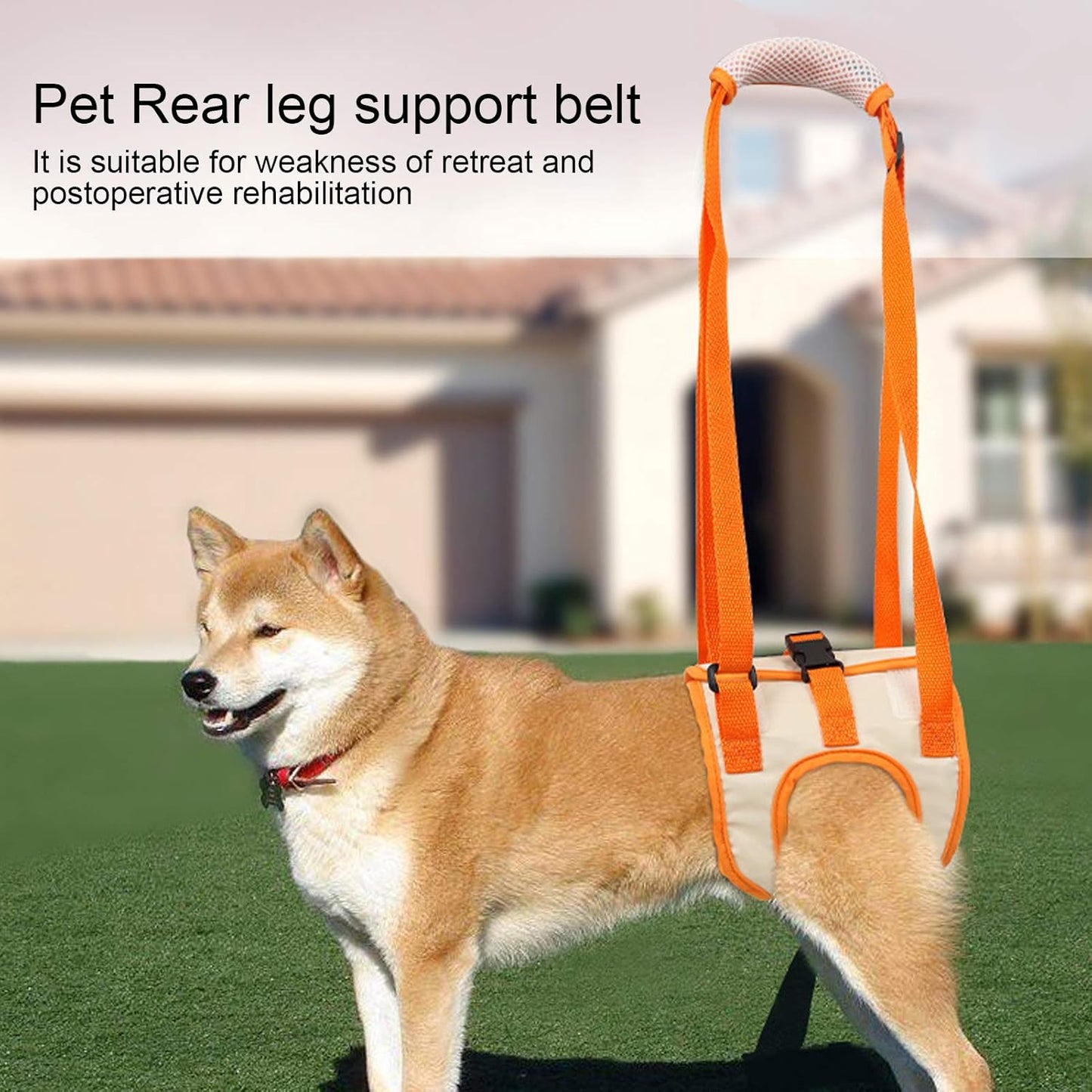 Dog Assist Harness Mesh Cloth Breathable Comfortable Lifting Support Belt for Elderly Injured Disabled Dogs with Handle Grip Shown (L)