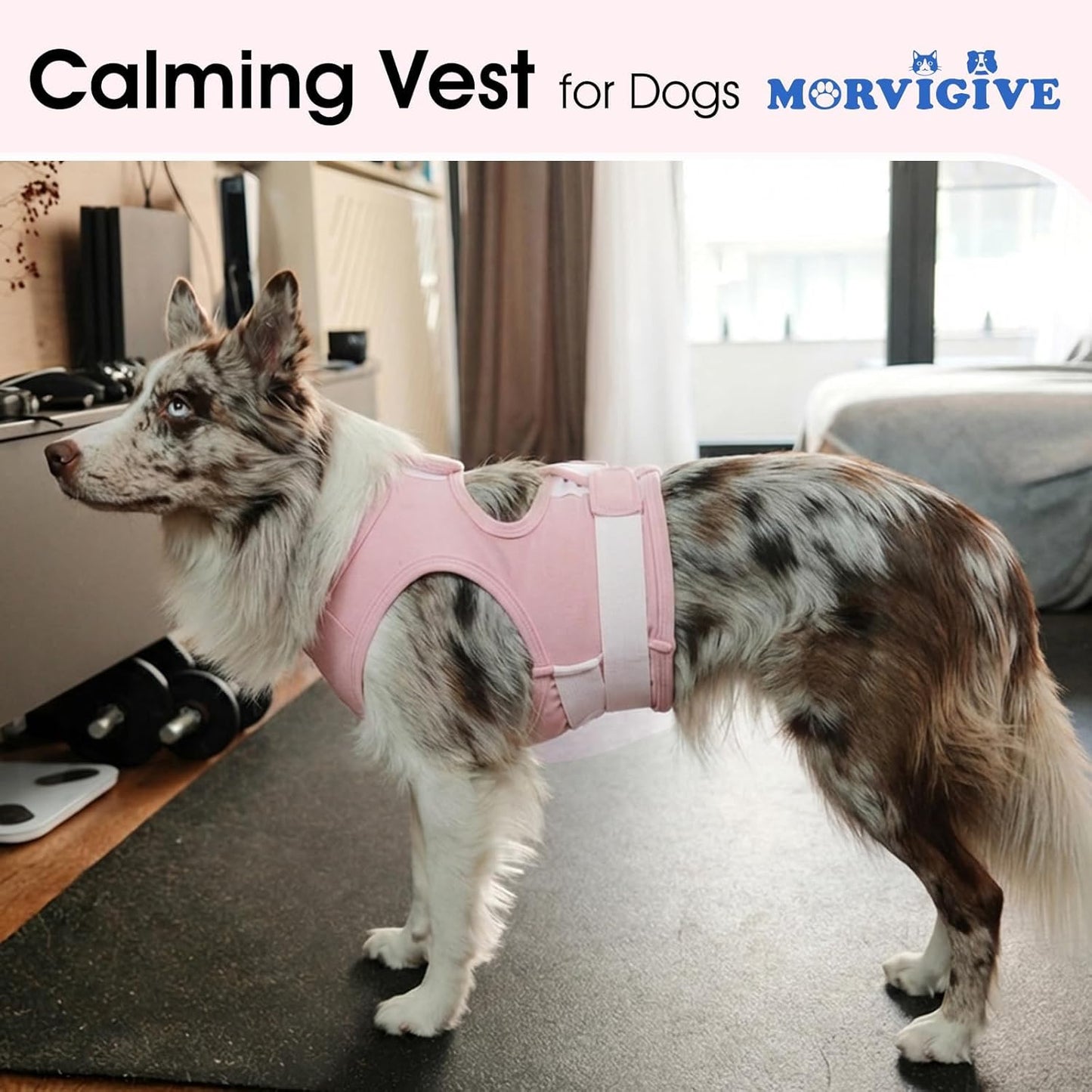 XS Dog Anxiety Vest,Sleeveless Calming Jacket | Adjustable Wrap The Chest for Small Dogs,Soft Lightweight Easy to Wear,Relief Anxious,Fear of New Places,Social Stress (Pink)