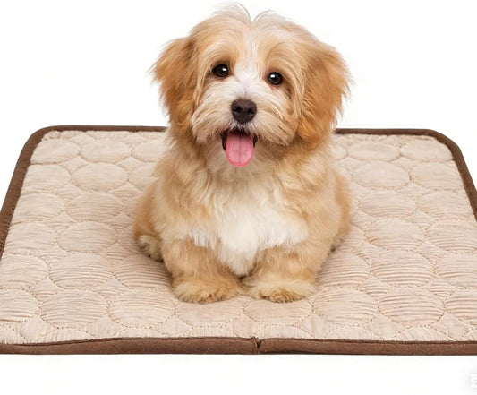 Reusable Pet Mat for Floor - Washable Non-Slip Pee Pads for Dogs, Fast Absorbent Dog Training Pads, Suitable for Small Pets