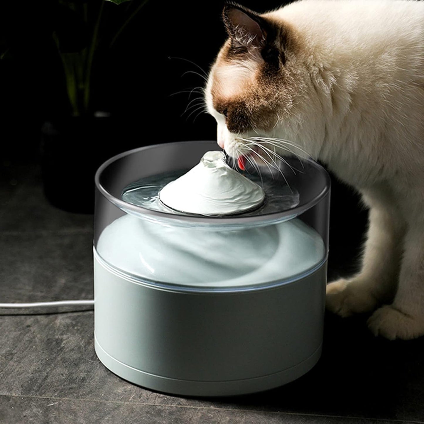Dog/Cat Water Fountain, Quiet Automatic Pet Drinking Dispenser with Double Cyclic Filter System, Automatic Water Fountain for Cats Dogs,White
