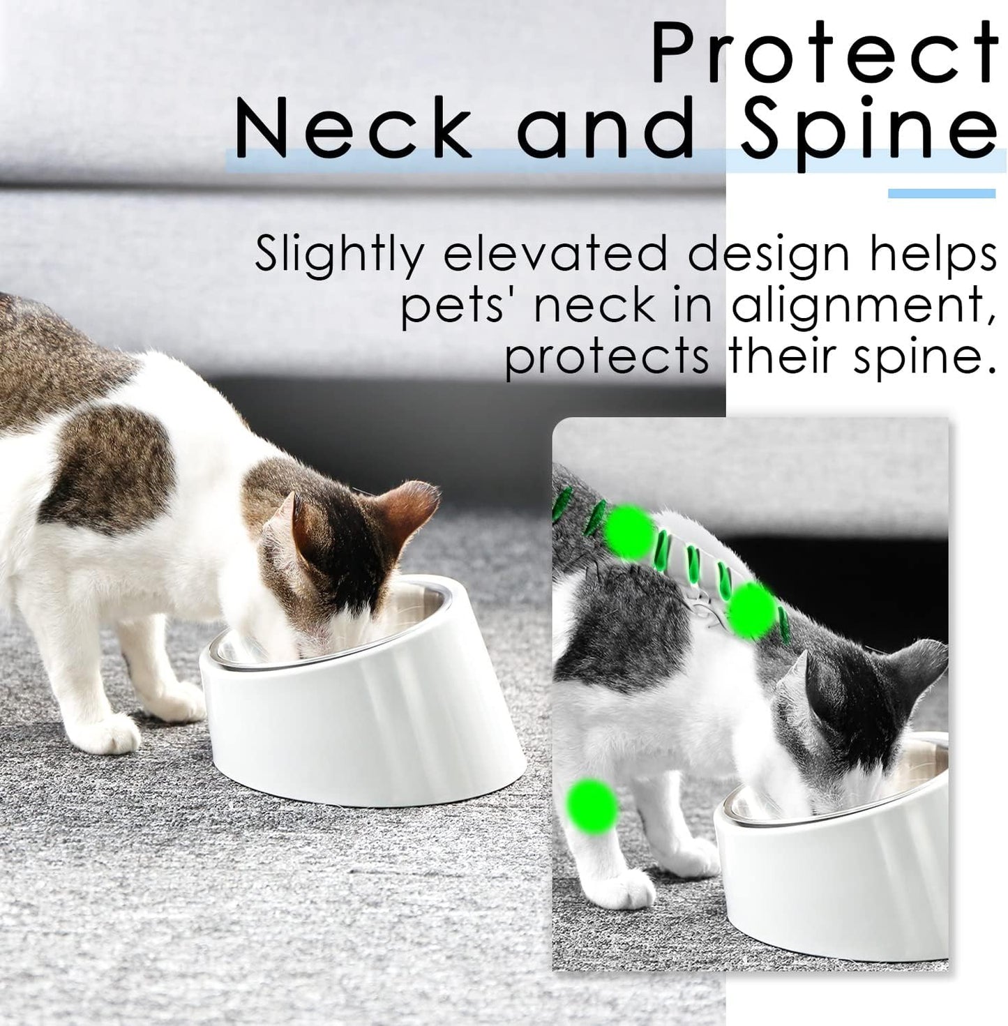 SuperDesign Mess Free 15° Slanted Bowl for Dogs and Cats, Tilted Angle Bulldog Bowl Dog Feeder, Non-Skid & Non-Spill, Easier to Reach Food S/0.5 Cup White