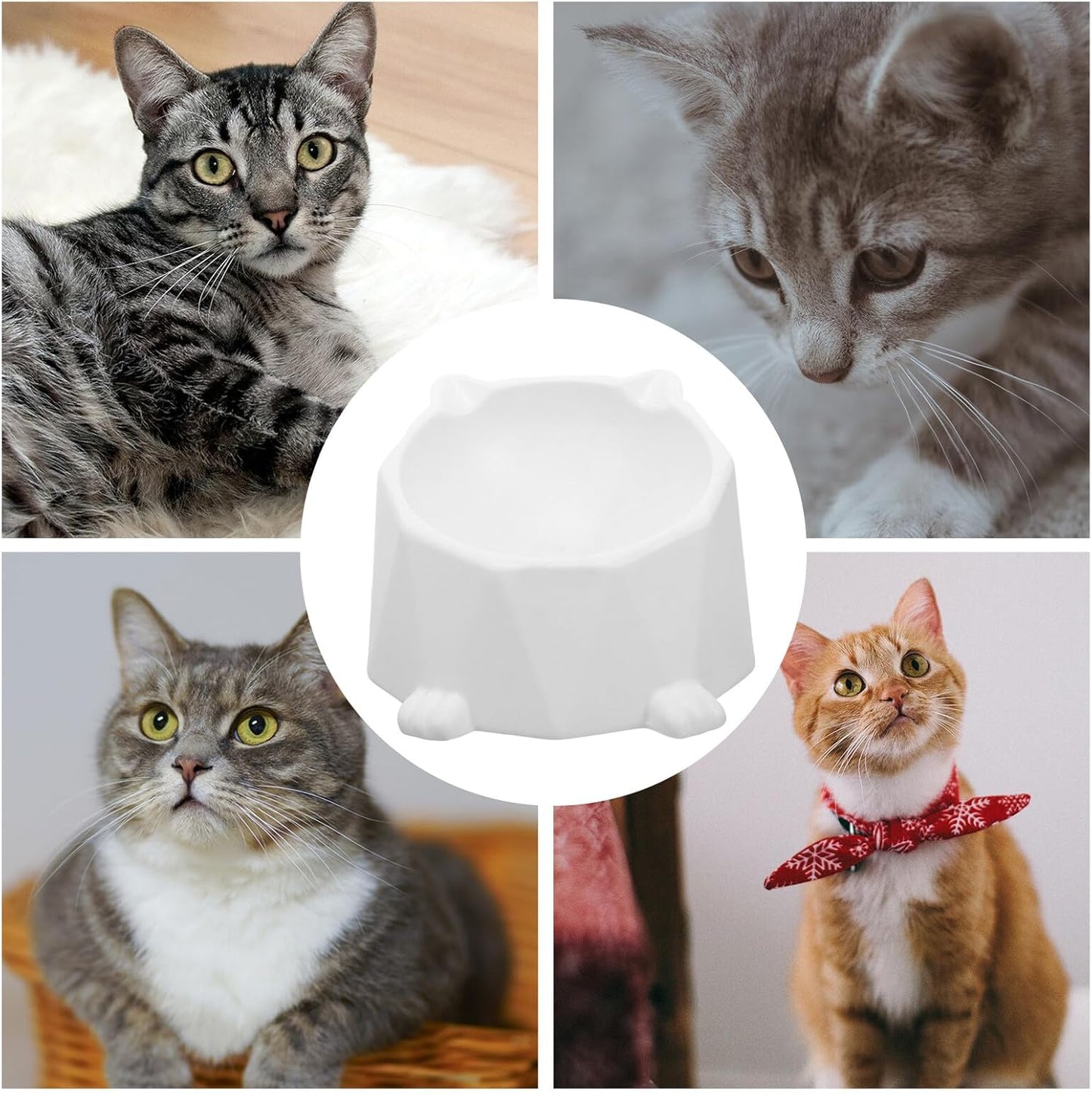 Ceramic Elevated Cat Bowl Neck Protection, White Raised Pet Feeding Dish, Anti-Spill Tilted Floor Bowl for Indoor Cats and Small Dogs