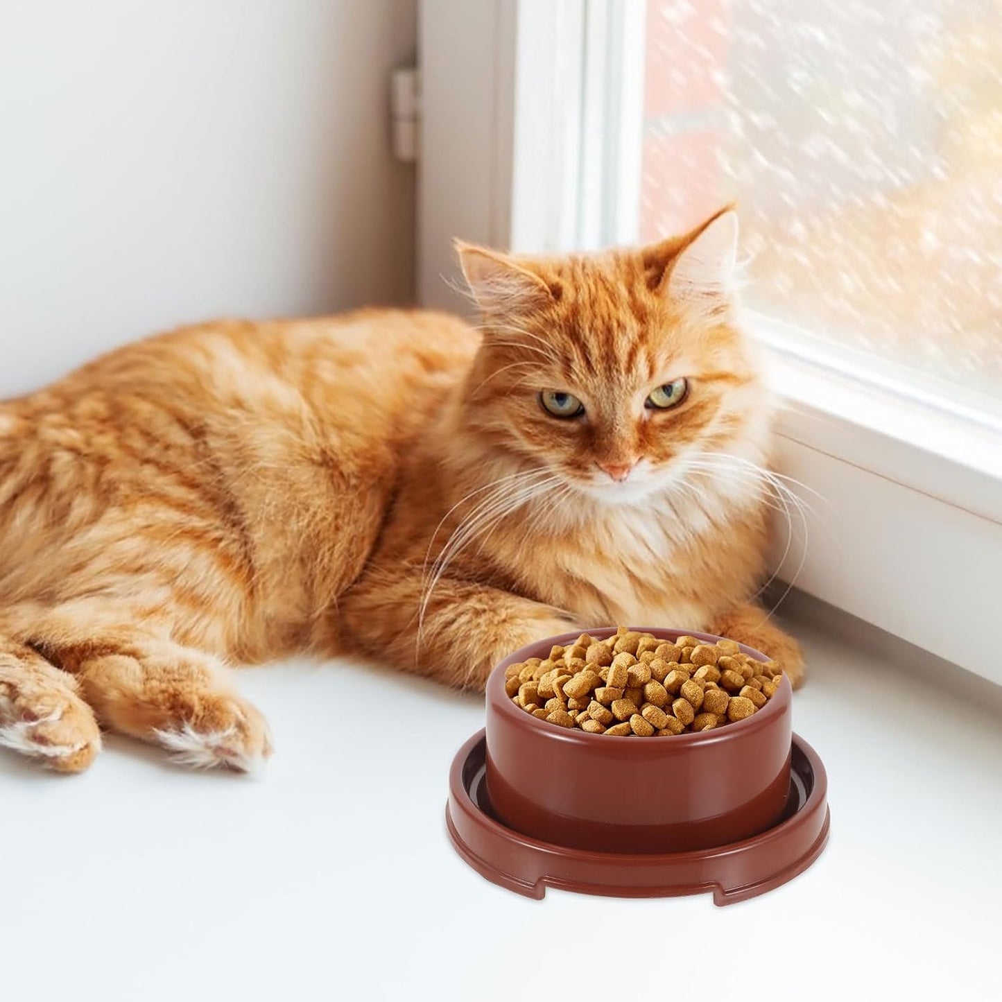 PRETYZOOM Plastic Dog Food Bowl with Design, Small Round Pp Pet Feeder for Puppies and Cats, Brown Single Pet Food Holder Suitable for Indoor Feeding